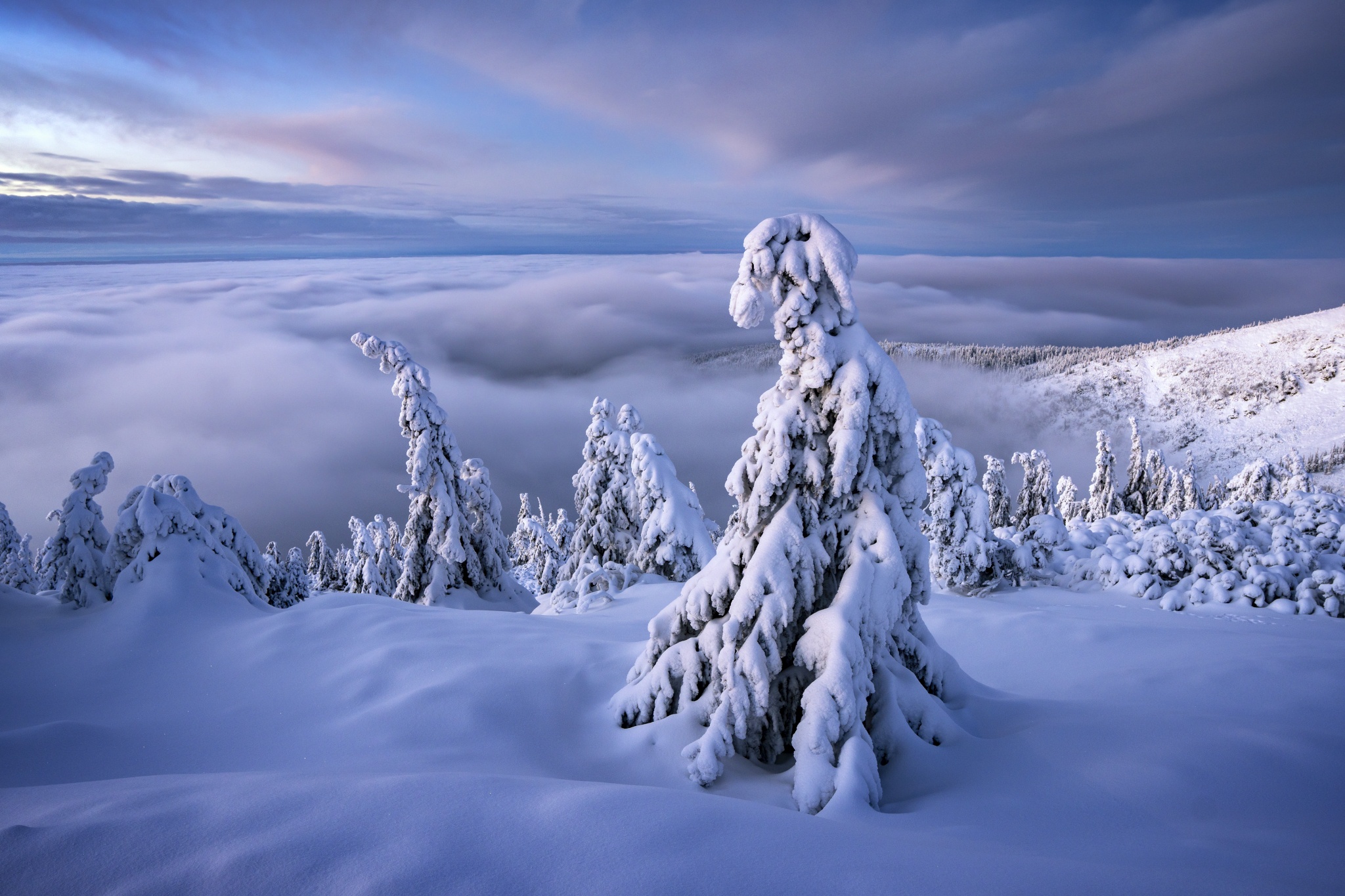 1009699 descargar fondo de pantalla tierra/naturaleza, invierno, nube, república checa, horizonte, paisaje, naturaleza, nieve, árbol: protectores de pantalla e imágenes gratis