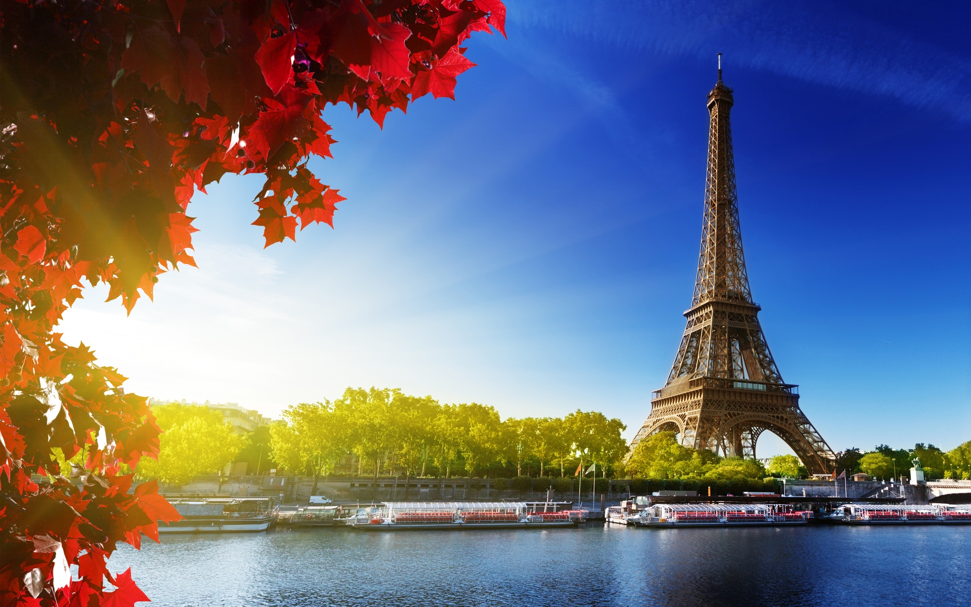 271929 Salvapantallas y fondos de pantalla Torre Eiffel en tu teléfono. Descarga imágenes de  gratis