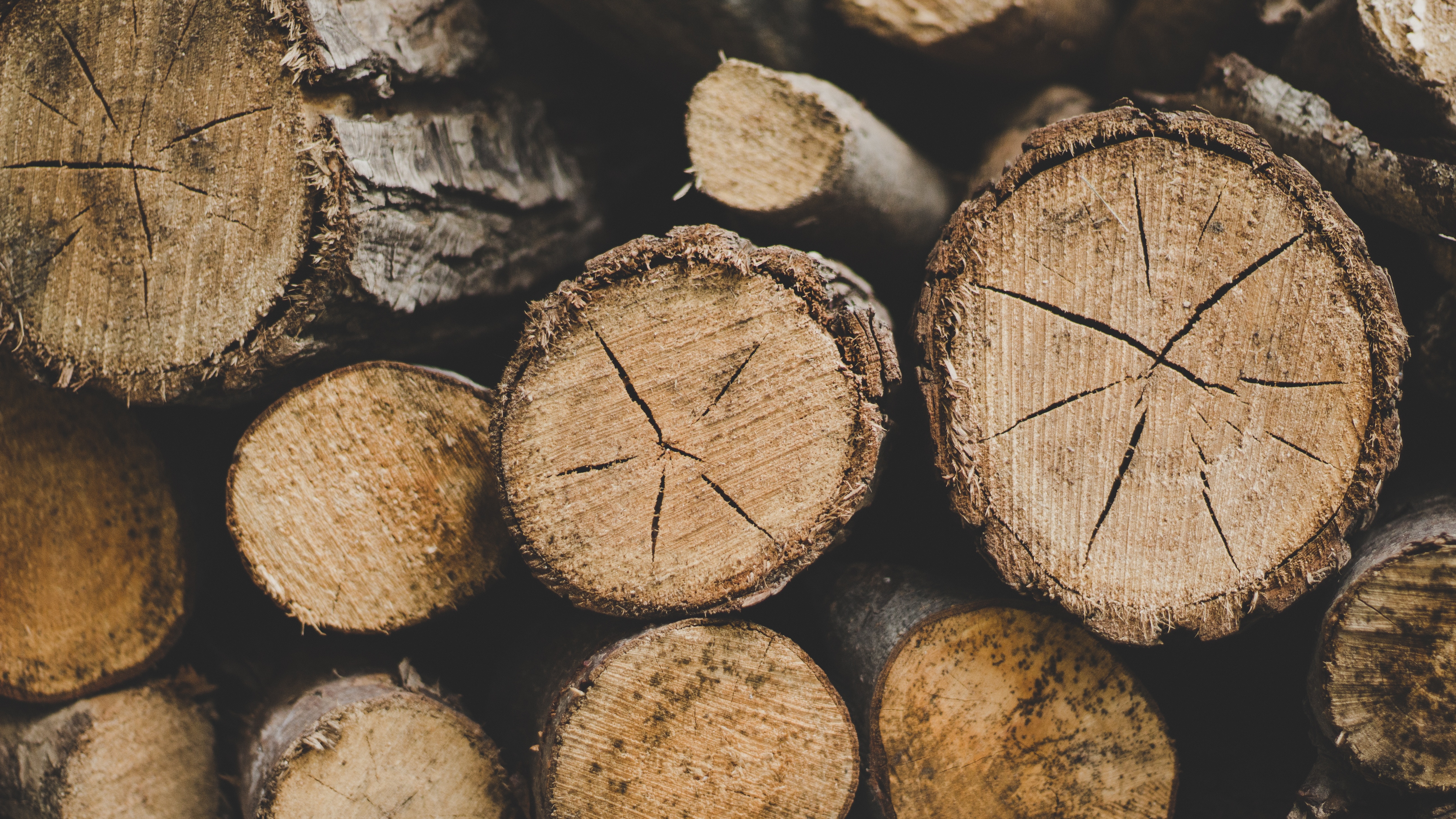miscellanea, miscellaneous, wood, tree, firewood, logs 2160p