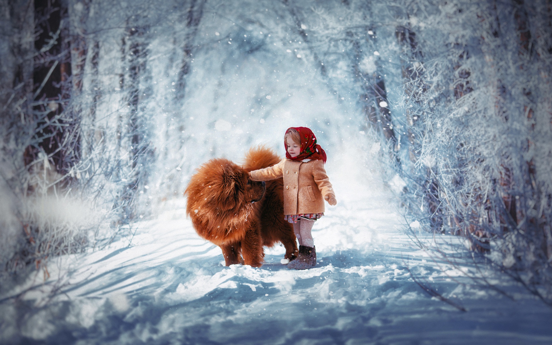 860539 descargar fondo de pantalla fotografía, niño, chow chow, lindo, perro, niñita, carretera, nieve, invierno: protectores de pantalla e imágenes gratis