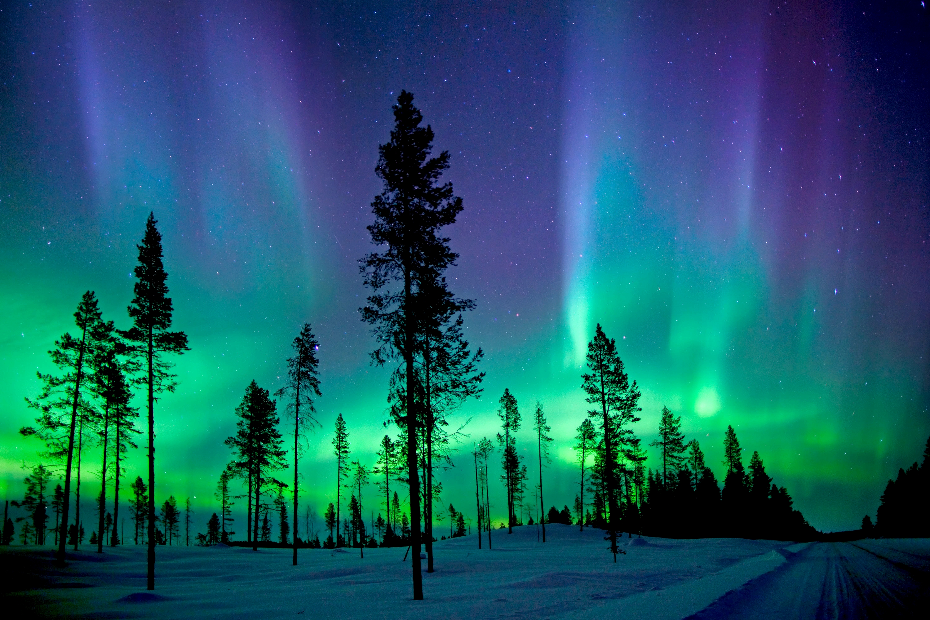 Free download wallpaper Winter, Sky, Snow, Forest, Tree, Earth, Aurora Borealis on your PC desktop