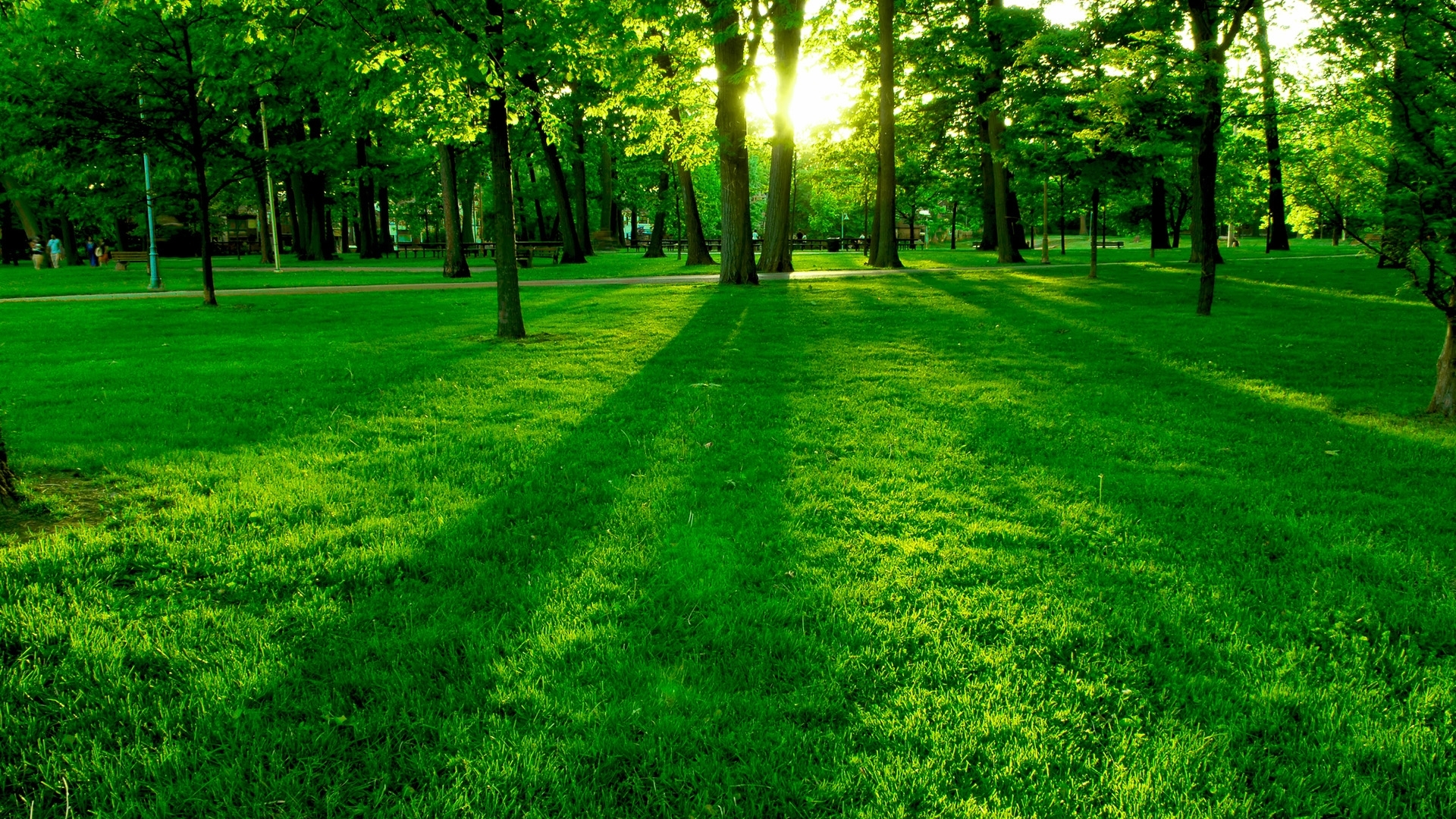 collection of best Green HD wallpaper