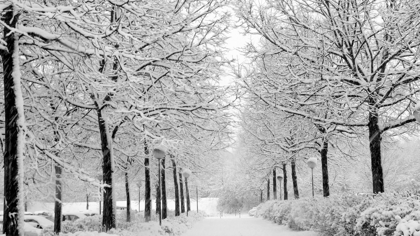 Diferencias entre granizo y nieve