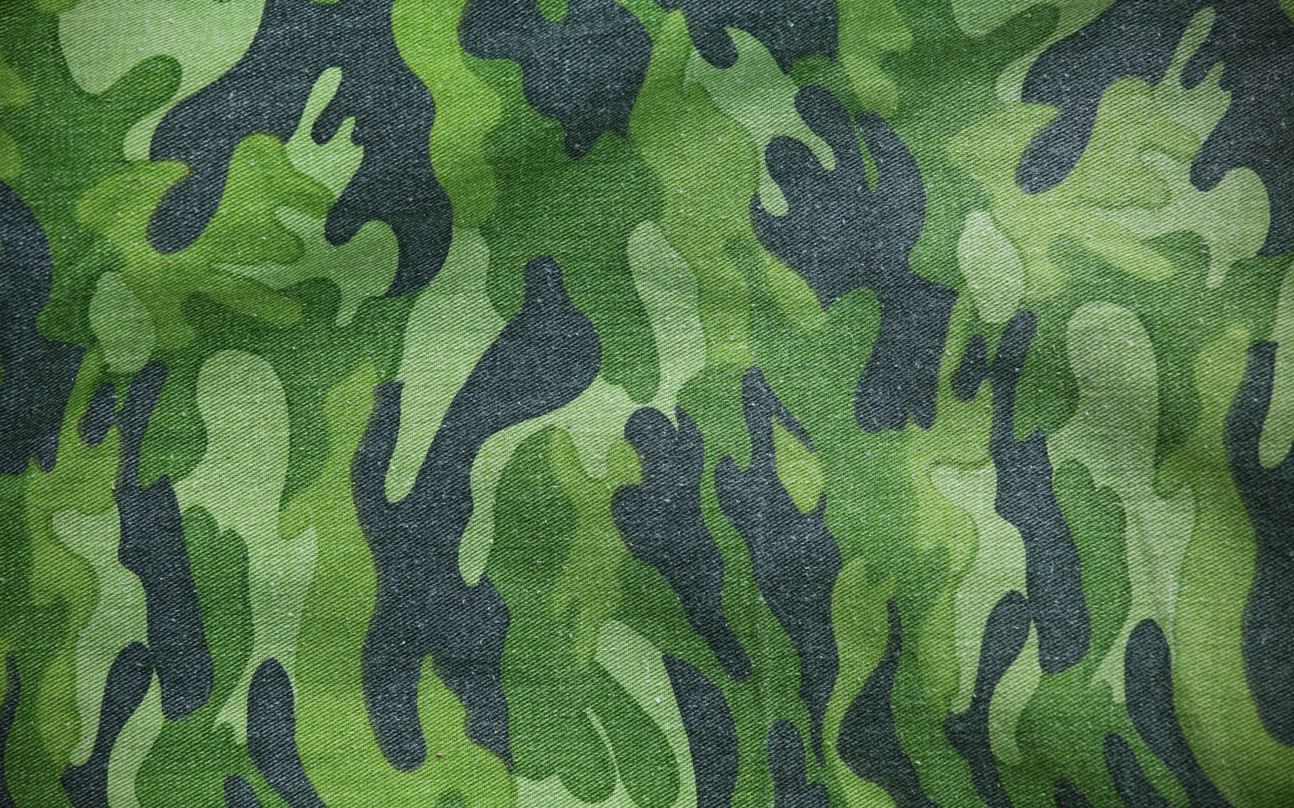 camouflage, military