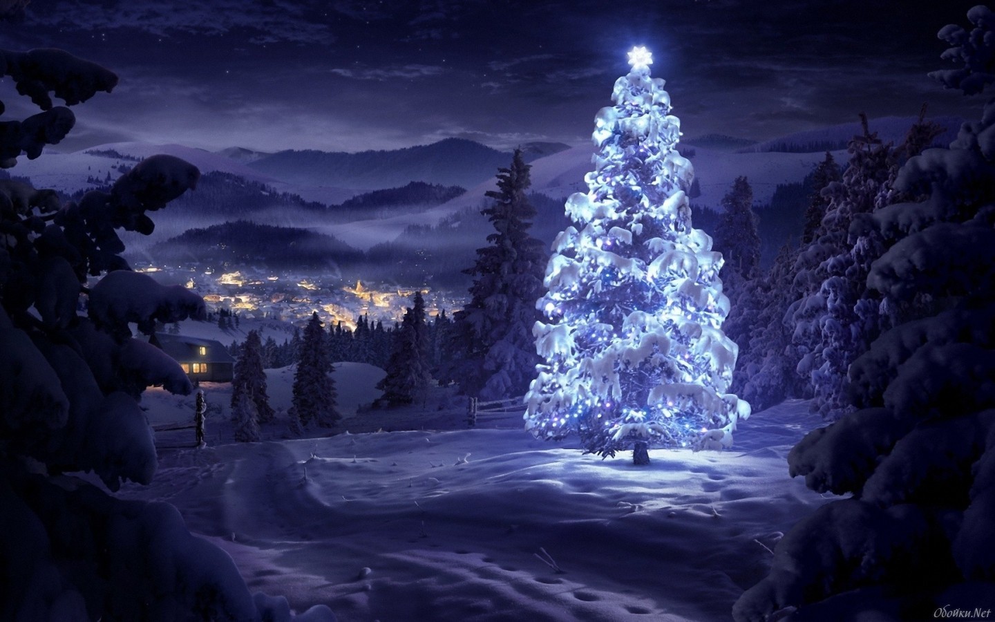 christmas xmas, fir trees, holidays, winter, new year, snow, pictures, blue lock screen backgrounds