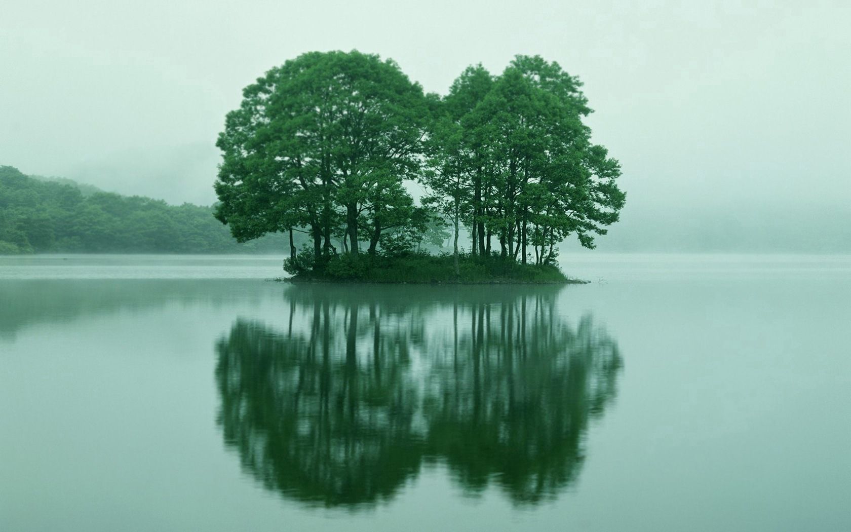 morning, nature, water, trees, summer, lake, fog, island, islet wallpaper for mobile