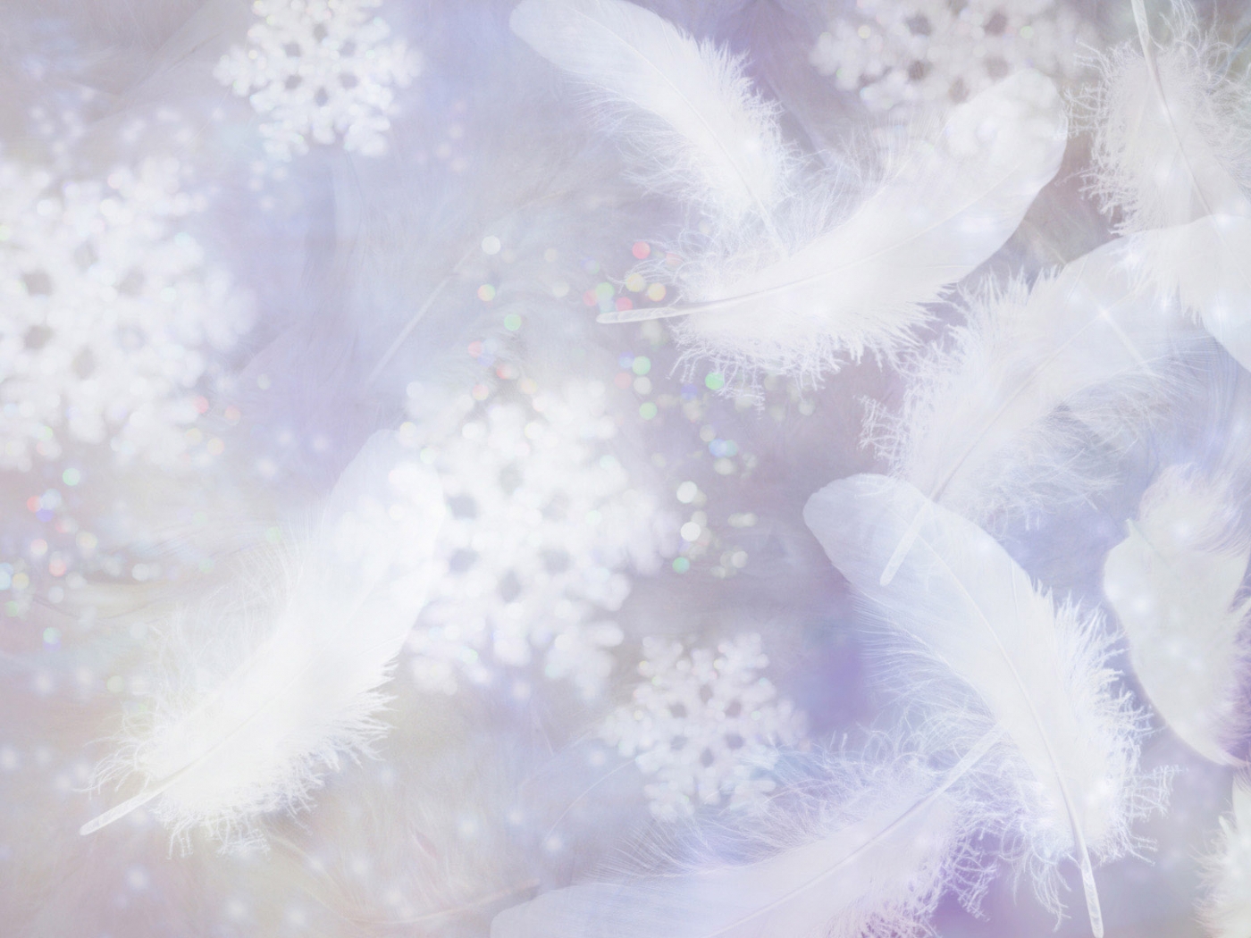 Download mobile wallpaper Feather, Background for free.