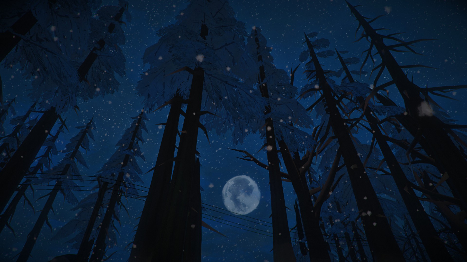 the long dark, video game, forest, moon, night, pine, wood