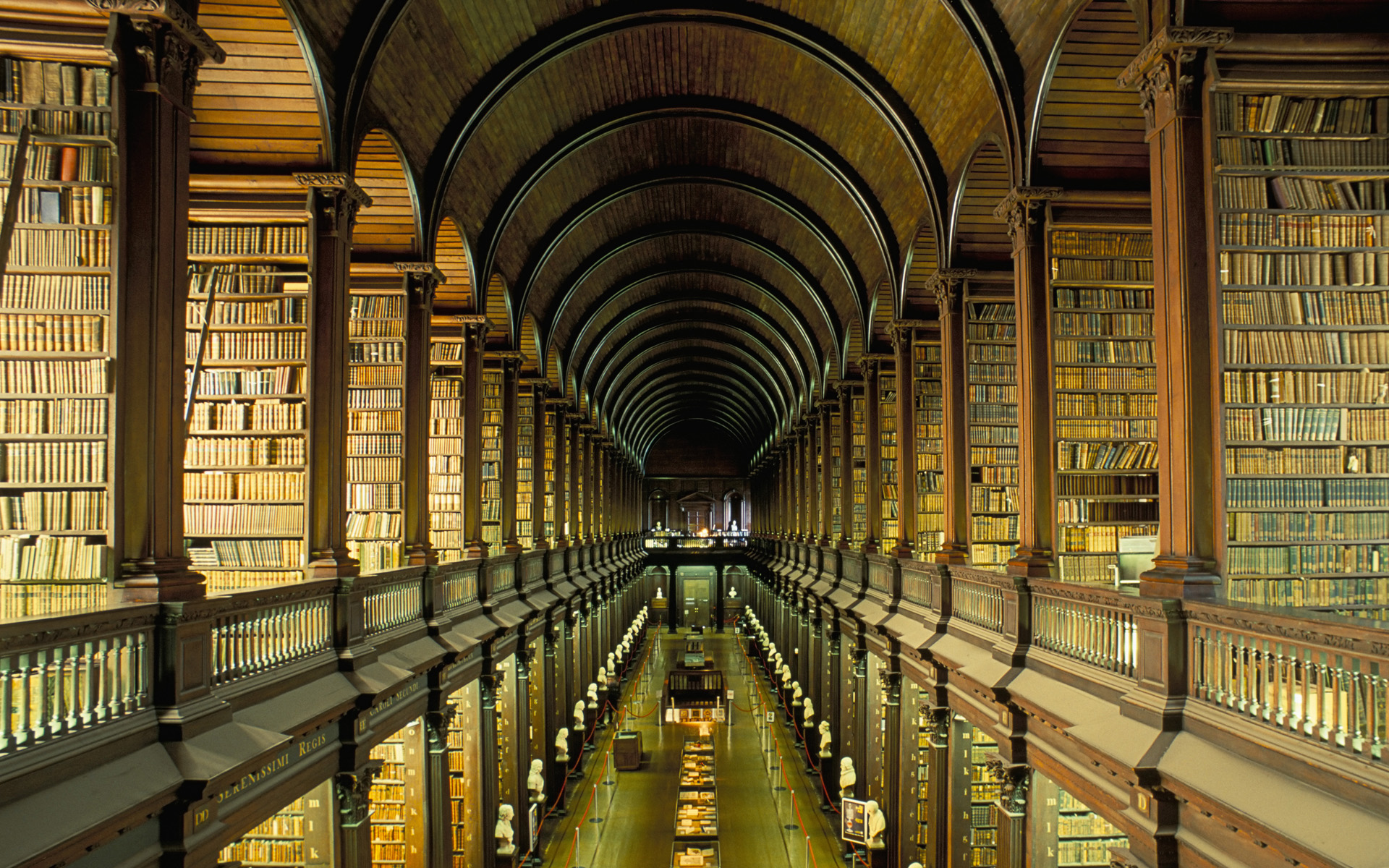 library, man made Panoramic Wallpaper