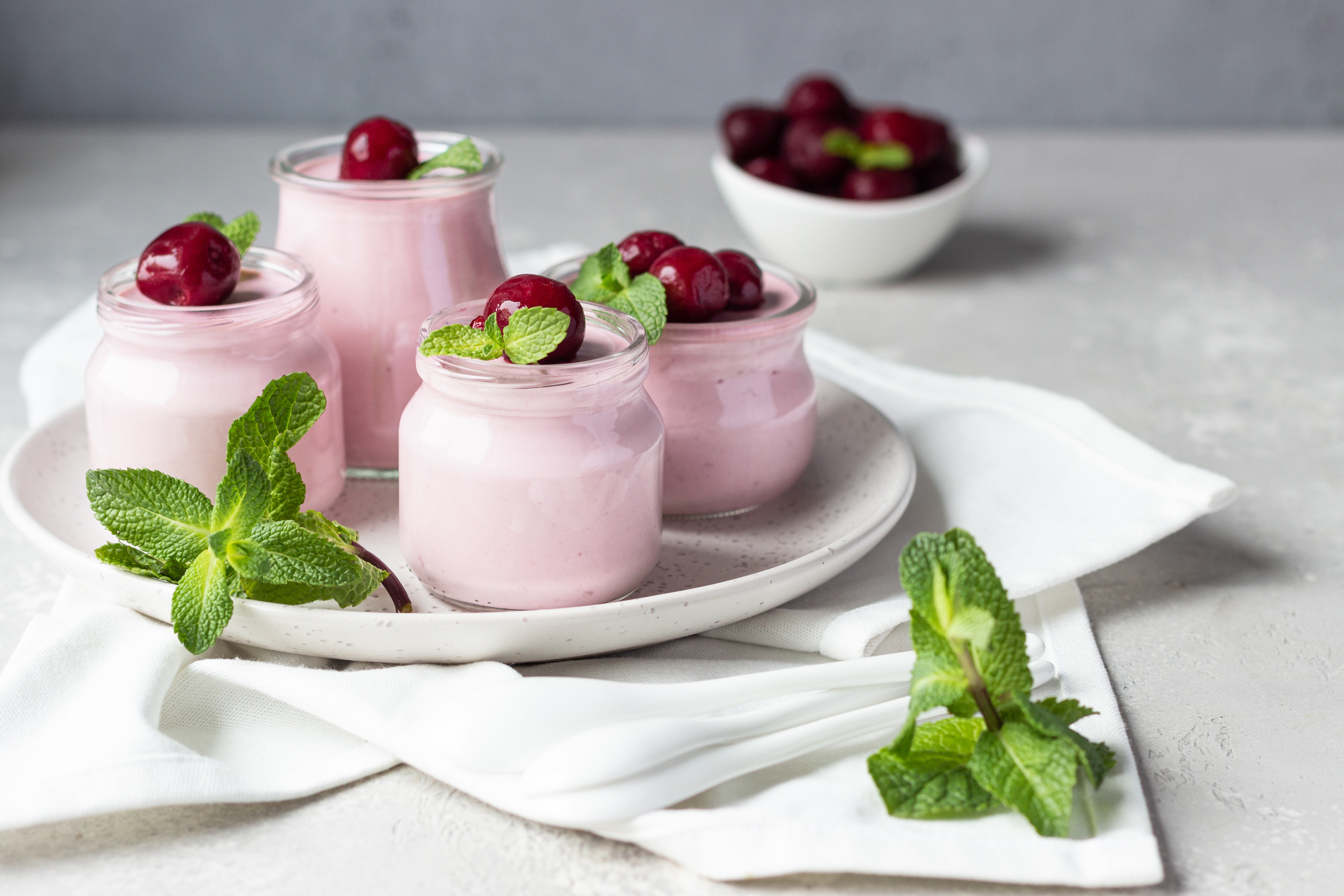 Yoghurt panna Cotta