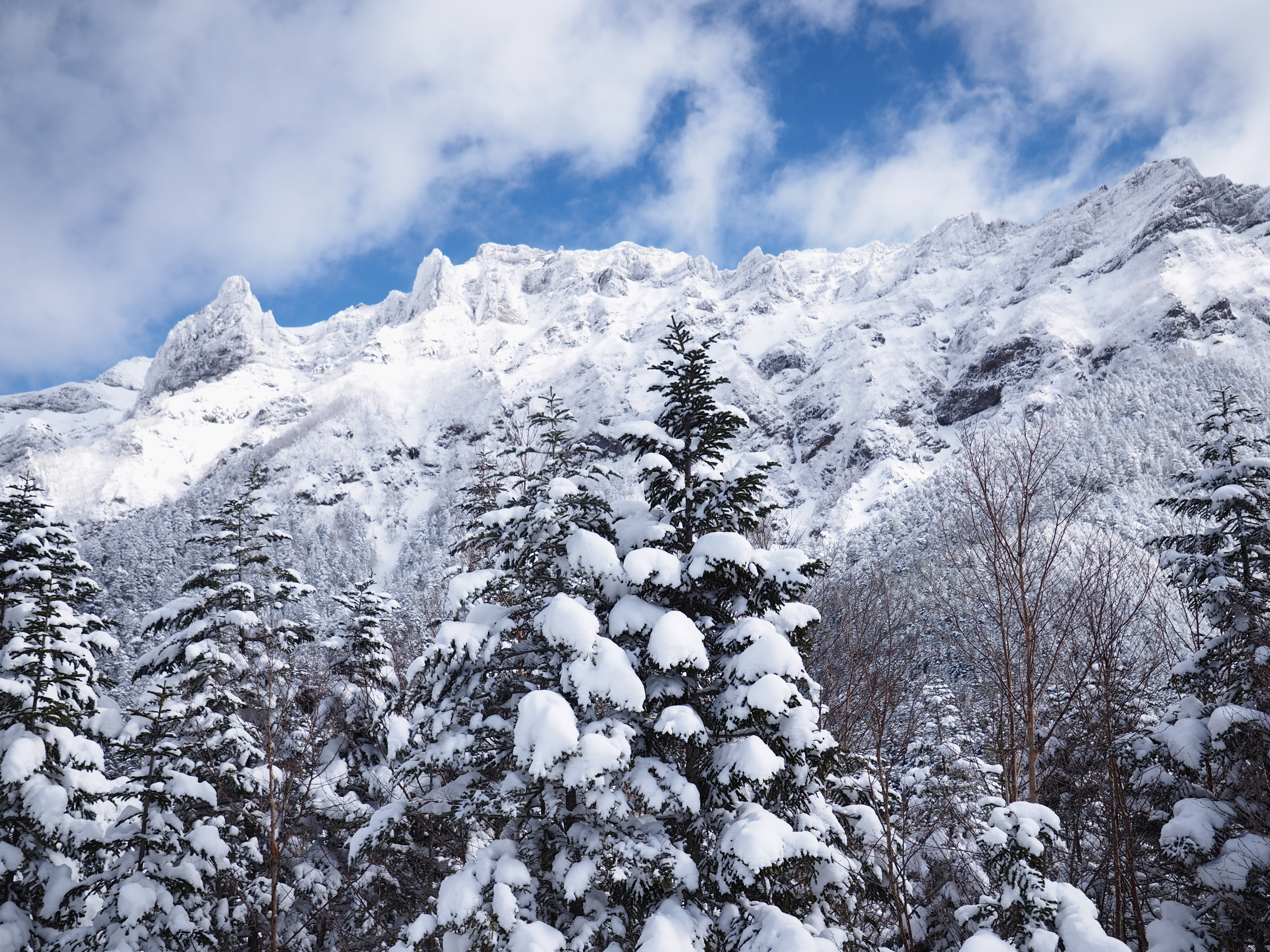 Скачать картинку Снег, Горы, Пейзаж, Деревья, Природа, Зима в телефон бесплатно.