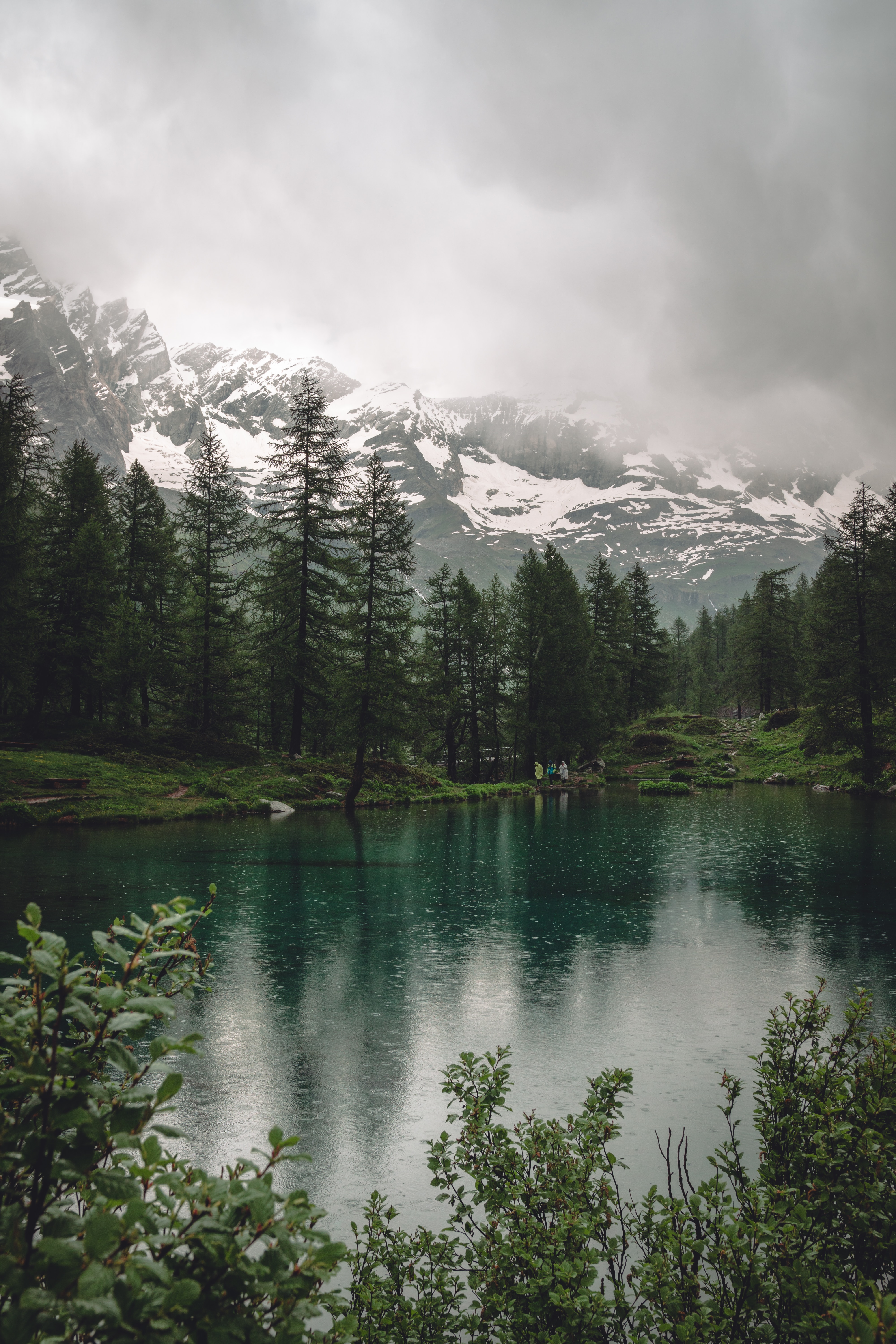 rain, nature, mountains, trees, lake