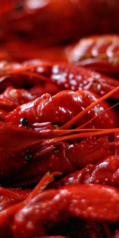 Раковая еда. Большой красный еда. Отжига красная еда. Раковый телефон. Crayfish.