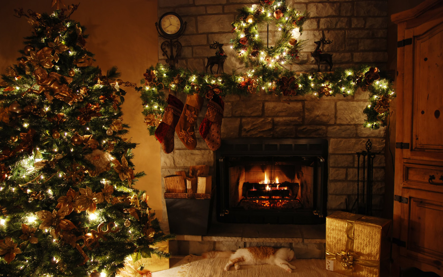 1435706 Hintergrundbild herunterladen geschenk, feiertage, weihnachten, katze, weihnachtsbaum, kamin - Bildschirmschoner und Bilder kostenlos