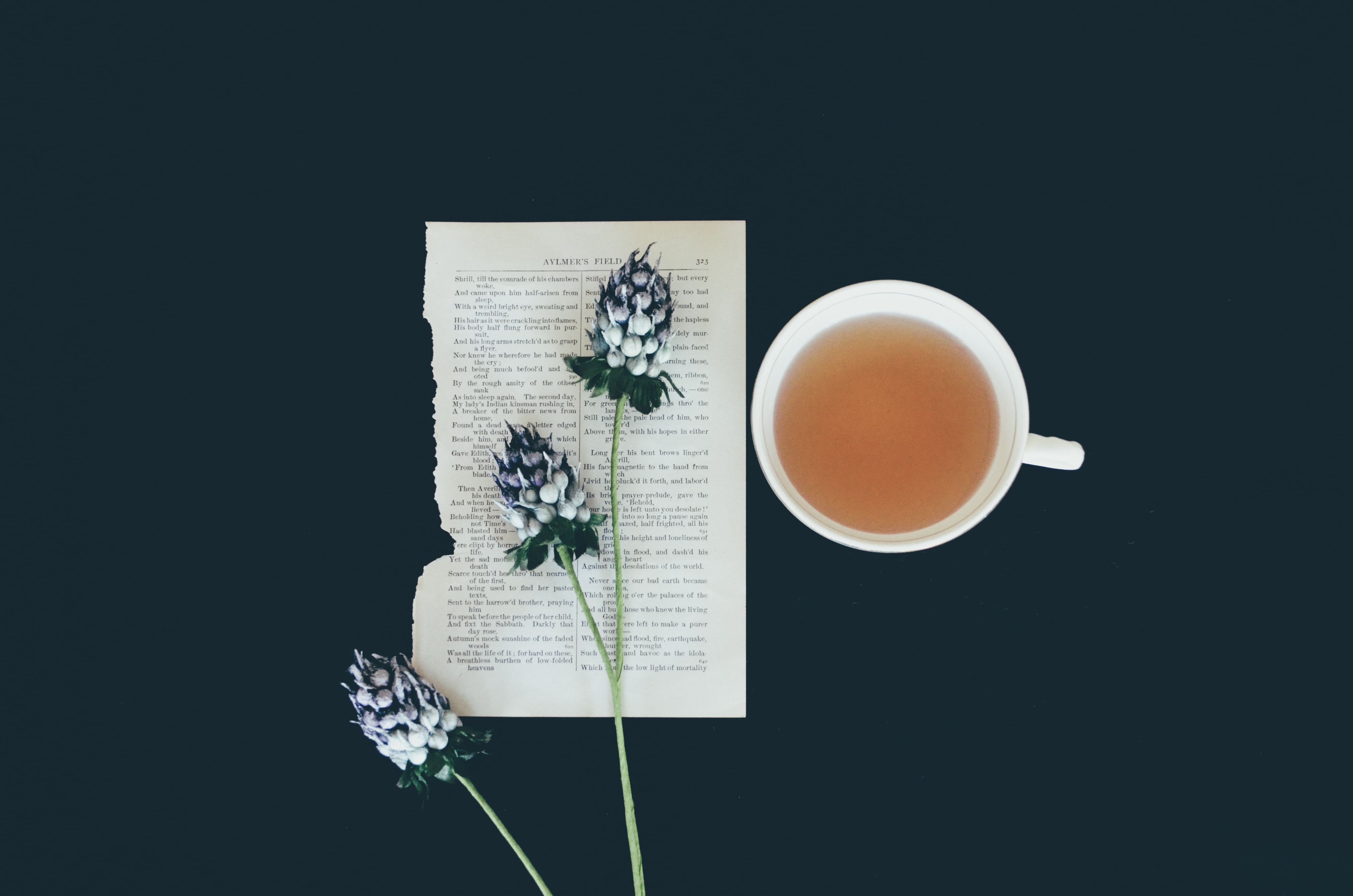 Download mobile wallpaper Page, Miscellaneous, Flowers, Cup, Miscellanea for free.
