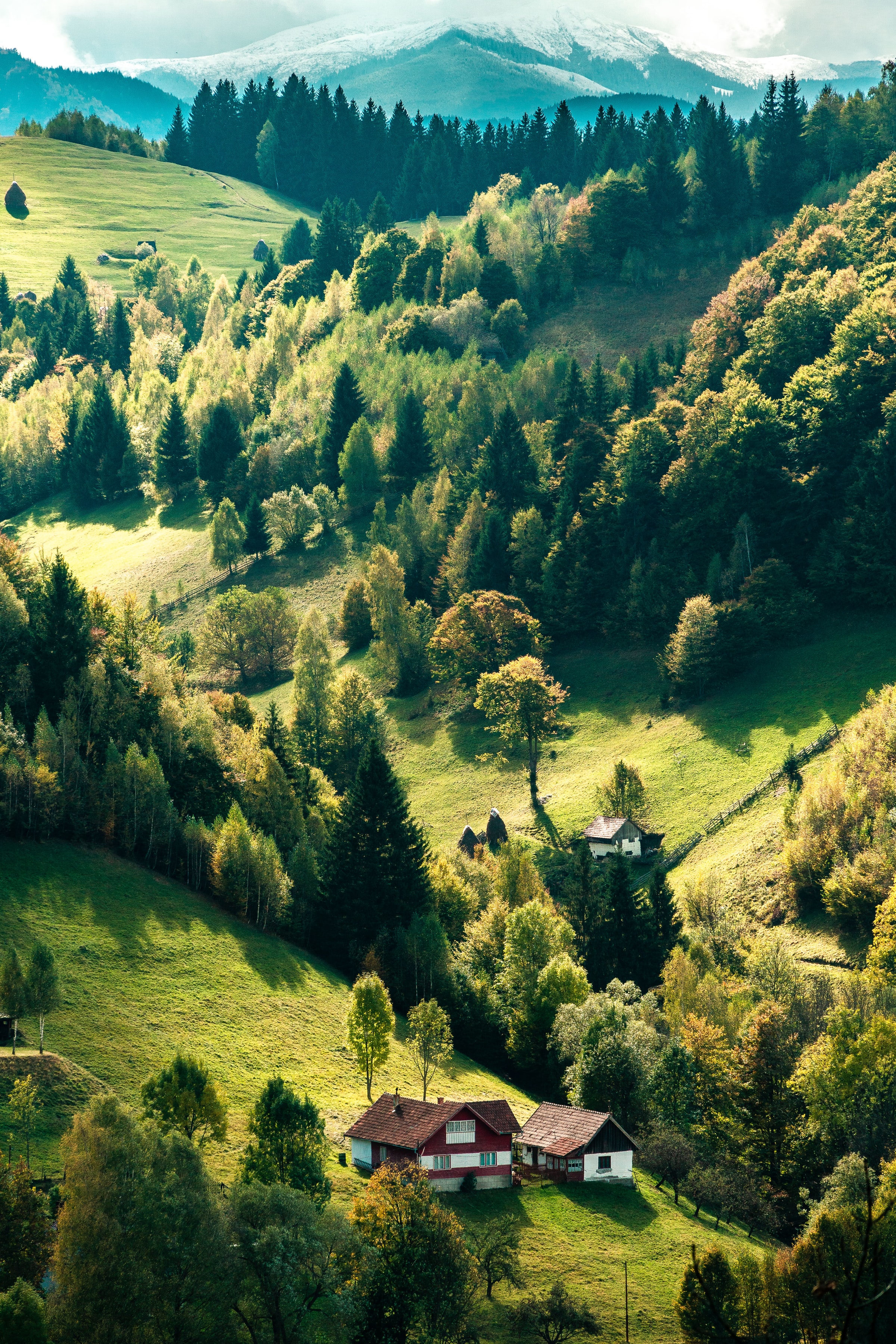 Laden Sie das Bäume, Wald, Haus, Dorf, Die Hügel, Hügel, Natur-Bild kostenlos auf Ihren PC-Desktop herunter