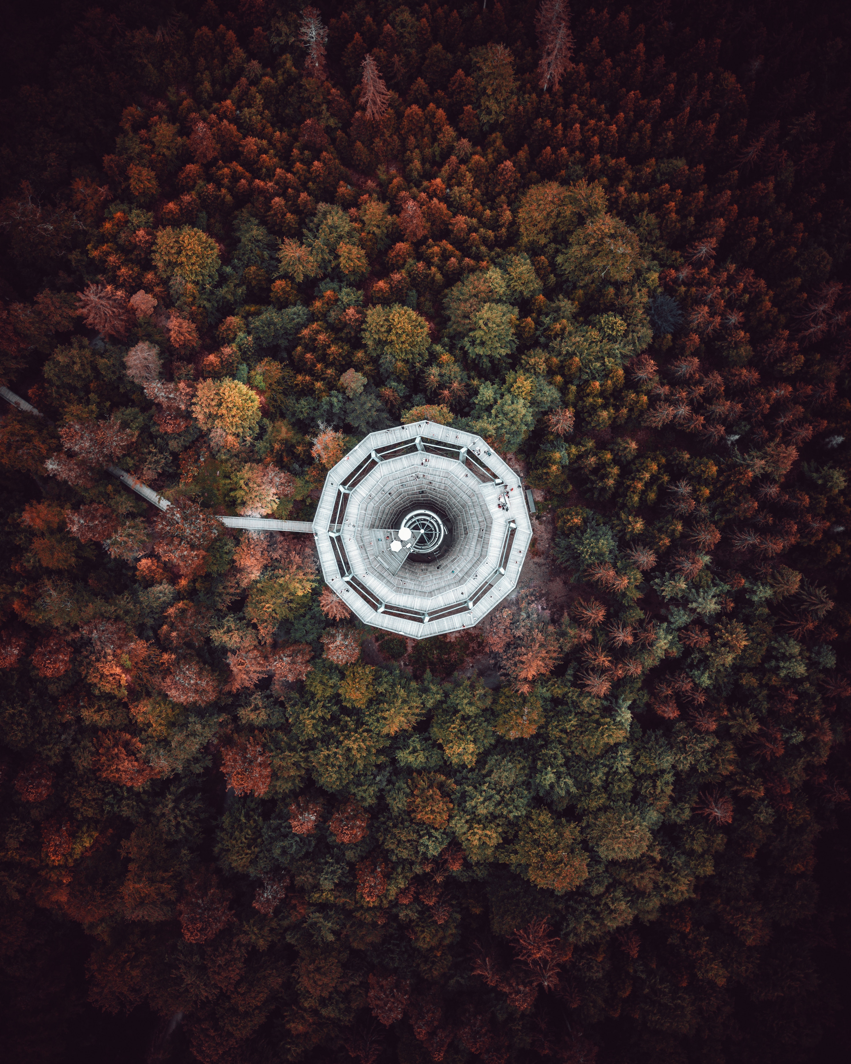 Download mobile wallpaper Germany, Bad Wildbad, Trees, View From Above, Tower, Nature for free.