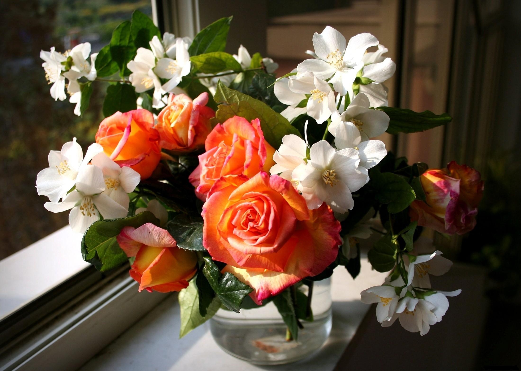 125815 descargar imagen flores, roses, ramo, ventana, jarrón, primavera, jazmín: fondos de pantalla y protectores de pantalla gratis