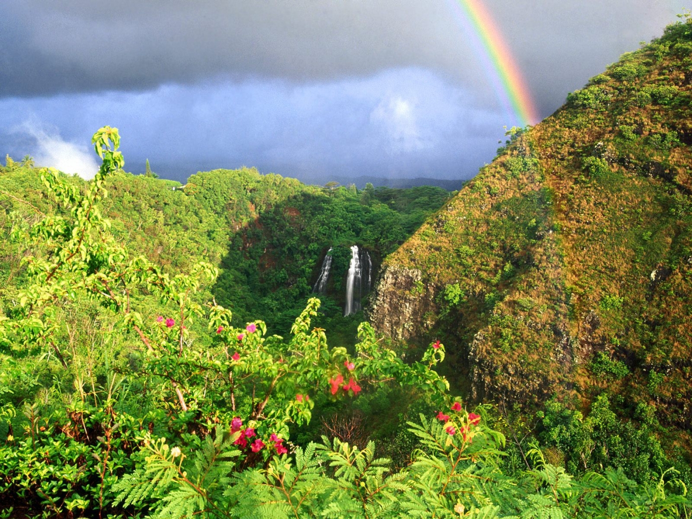 免费下载景观, 山, 彩虹手机壁纸。