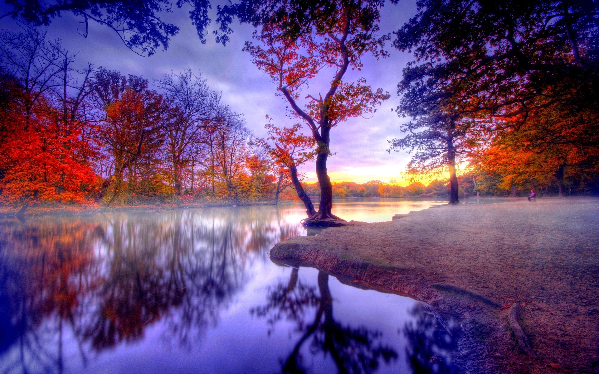 lake, hdr, reflection, fall, tree, photography Aesthetic wallpaper