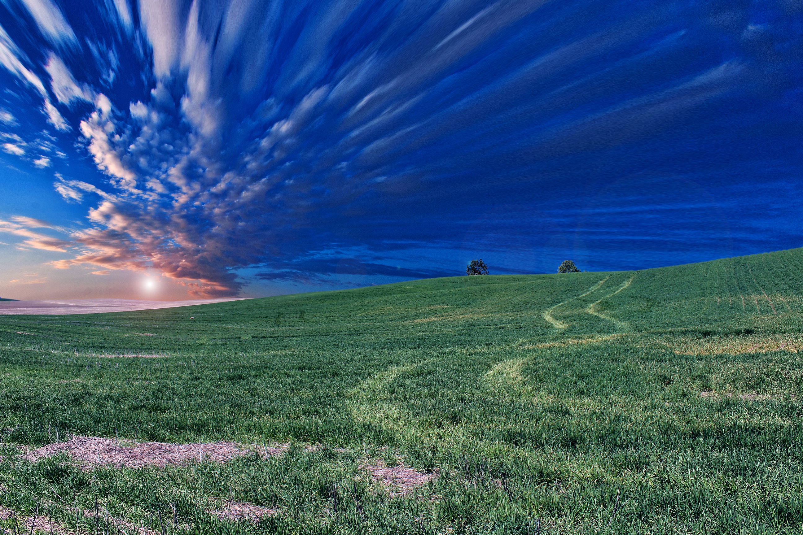 Laden Sie das Grass, Horizont, Abend, Natur, Sky, Feld-Bild kostenlos auf Ihren PC-Desktop herunter