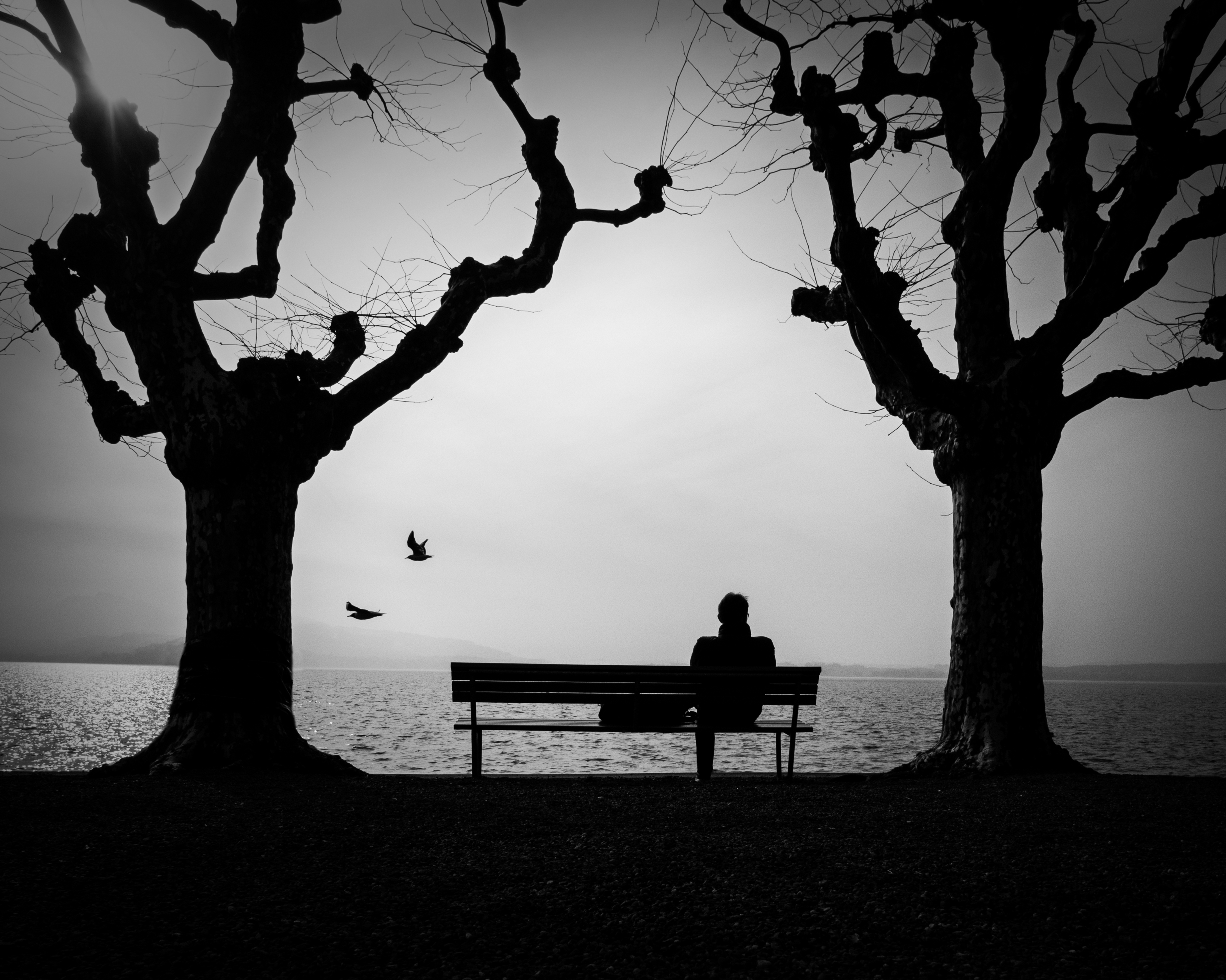 alone, bench, loneliness, lonely, silhouette, miscellanea, miscellaneous 5K