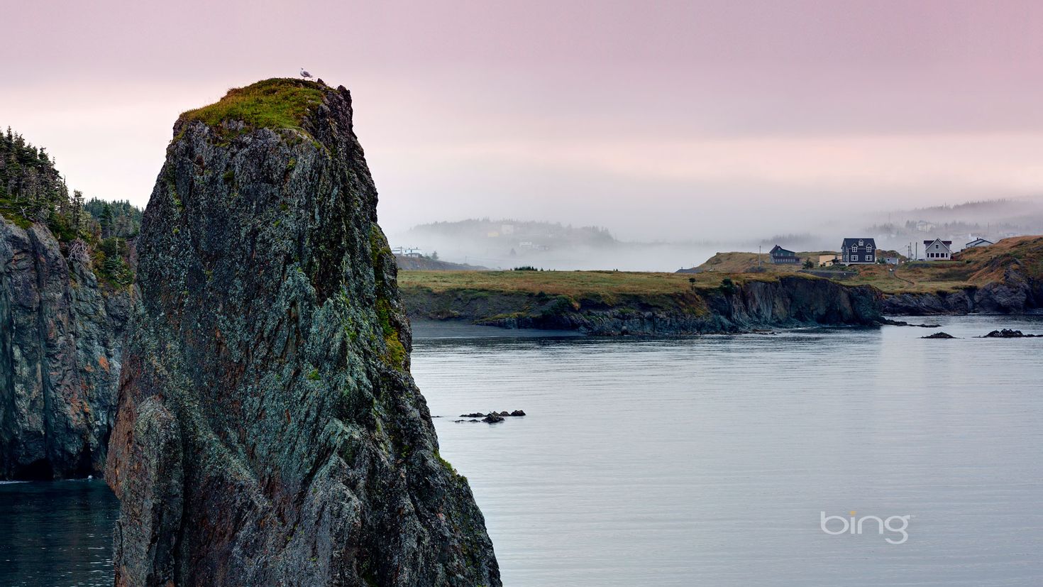Какой исследователь открыл остров ньюфаундленд. Ньюфаундленд полуостров. Остров ньюфаундленд природа. Ньюфаундленд и лабрадор Канада. Ньюфаундленд остров туман.