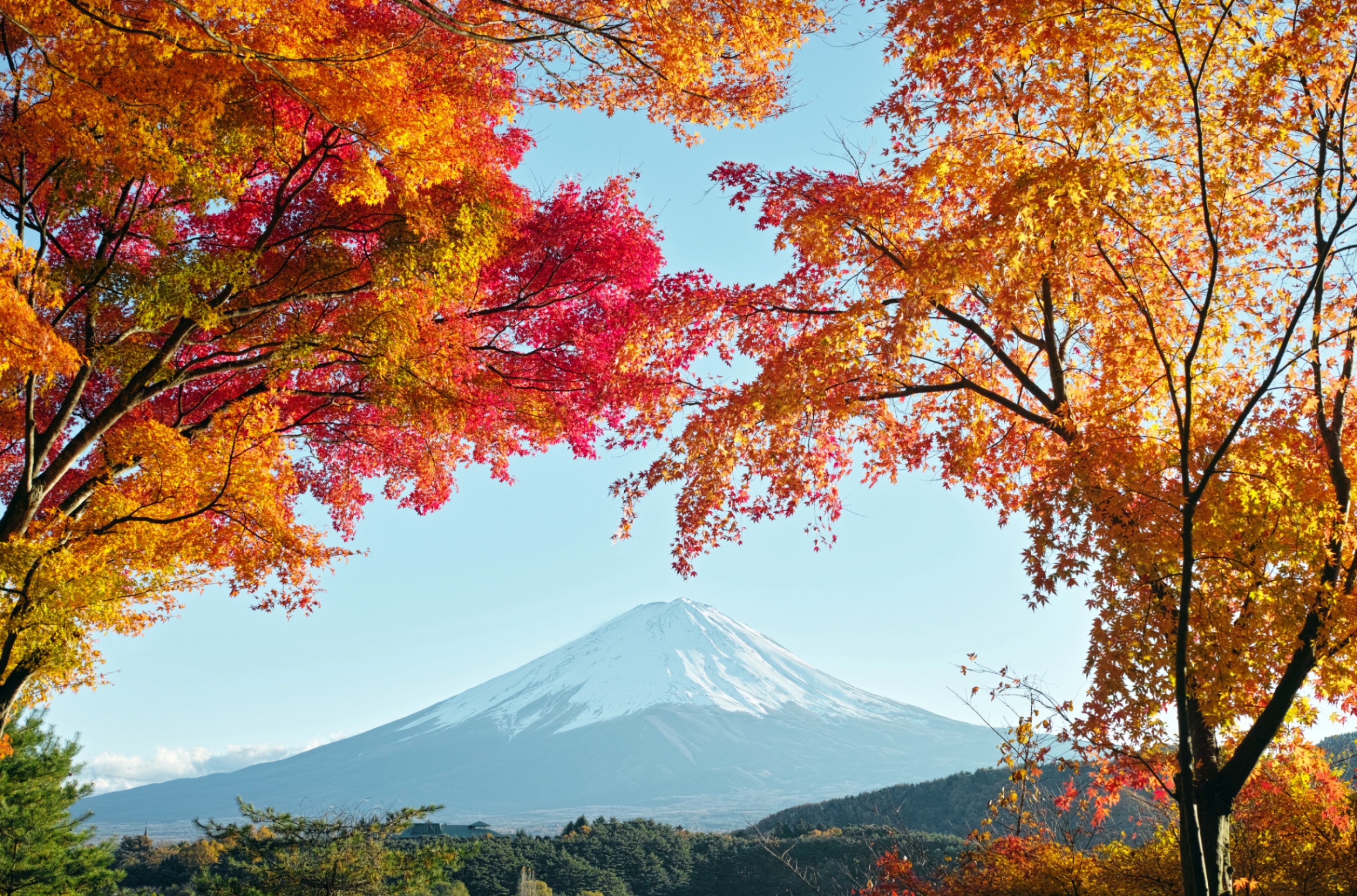 341682壁紙のダウンロード富士山, 日本, 地球, 藤山, 火山-スクリーンセーバーと写真を無料で