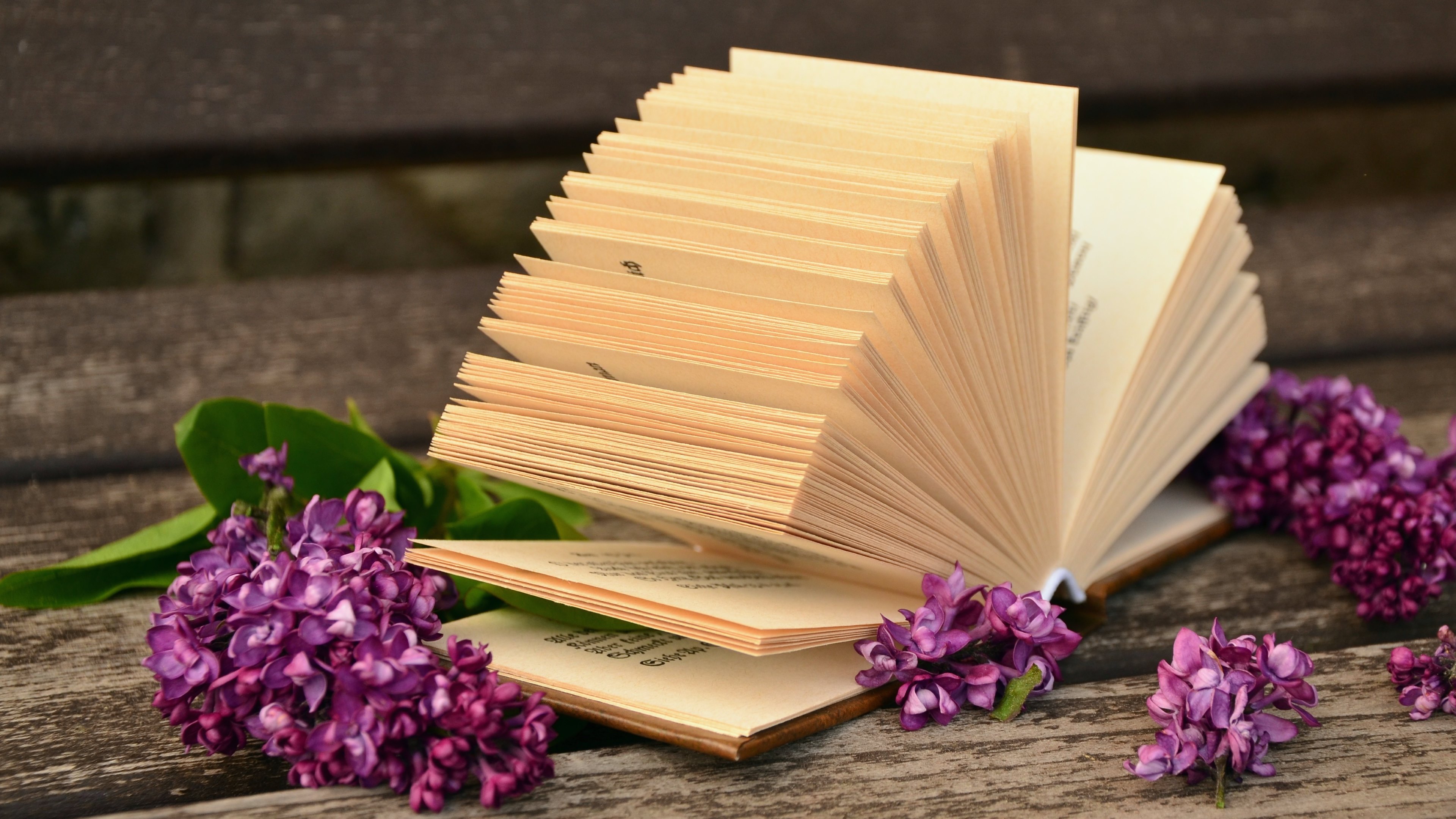 Download mobile wallpaper Lilac, Still Life, Flower, Book, Man Made for free.