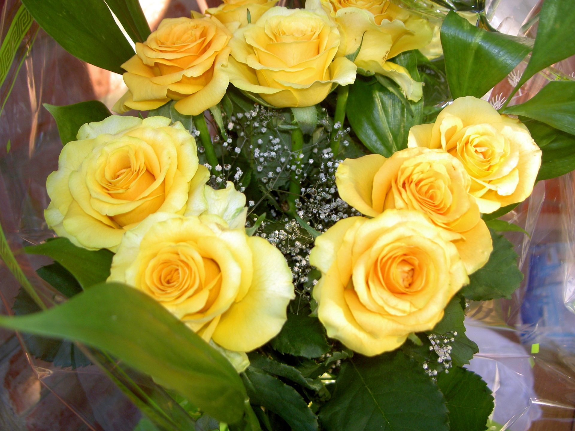 Wallpaper Full HD flowers, roses, yellow, registration, typography, bouquet