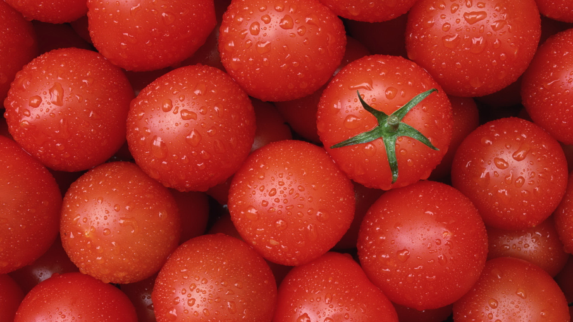 233294 завантажити шпалери помідор, харчування, фрукти - заставки і картинки безкоштовно