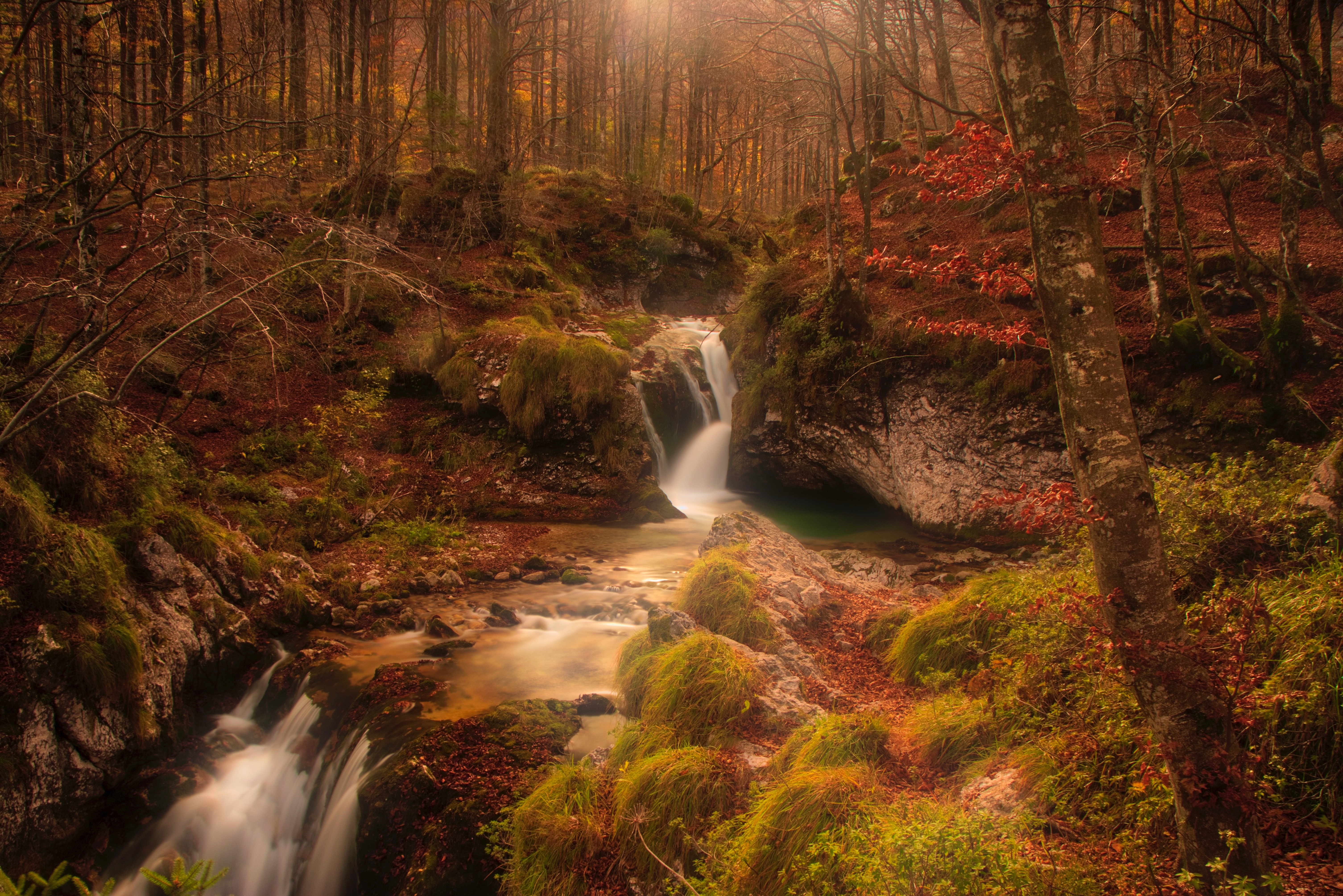 Natural fall. Шварцвальд водопады. Ручей в осеннем лесу. Водопад в лесу. Лесной водопад.