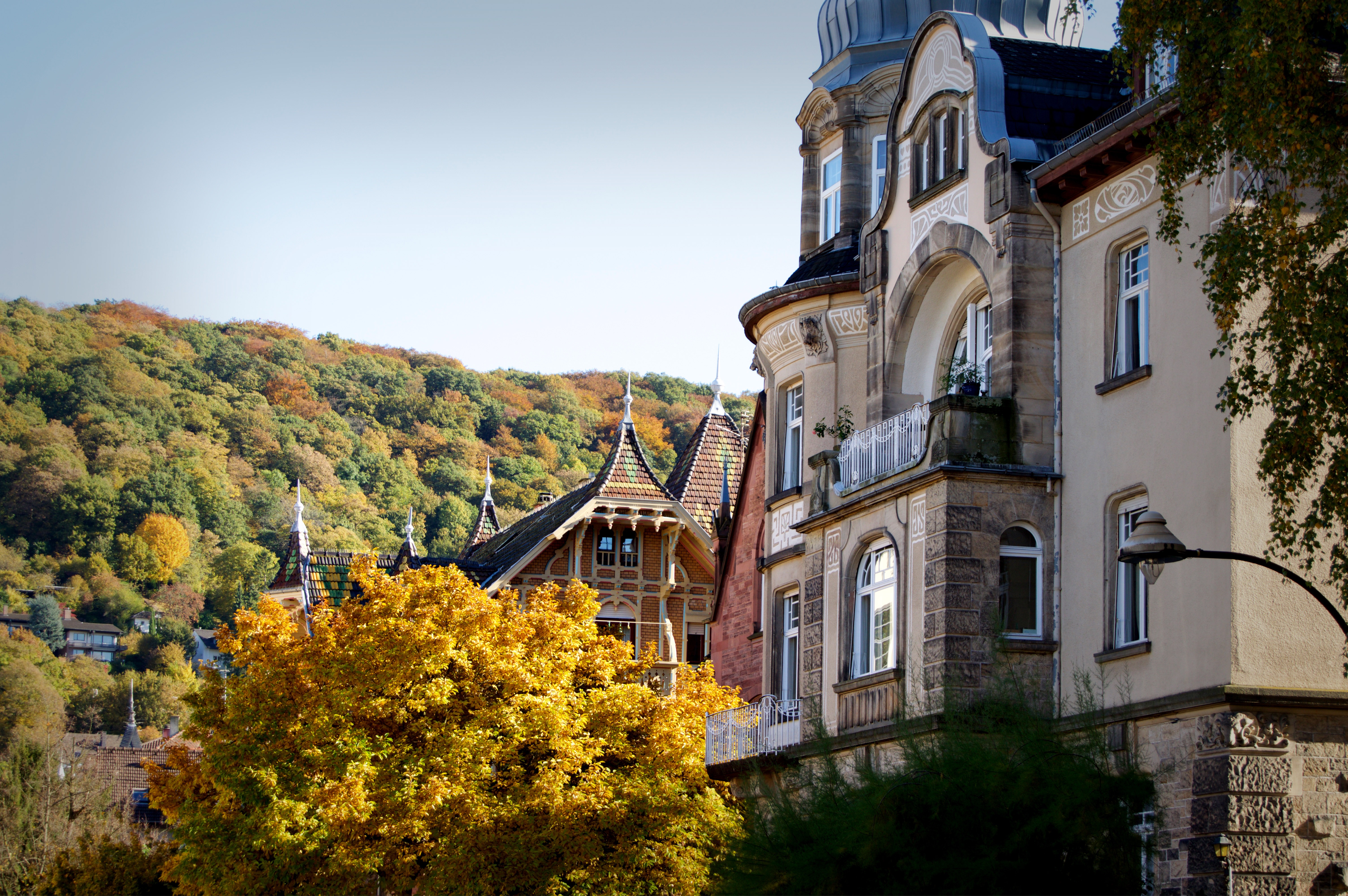 Download mobile wallpaper Cities, Heidelberg, Architecture, Building, Forest, Autumn, Germany for free.