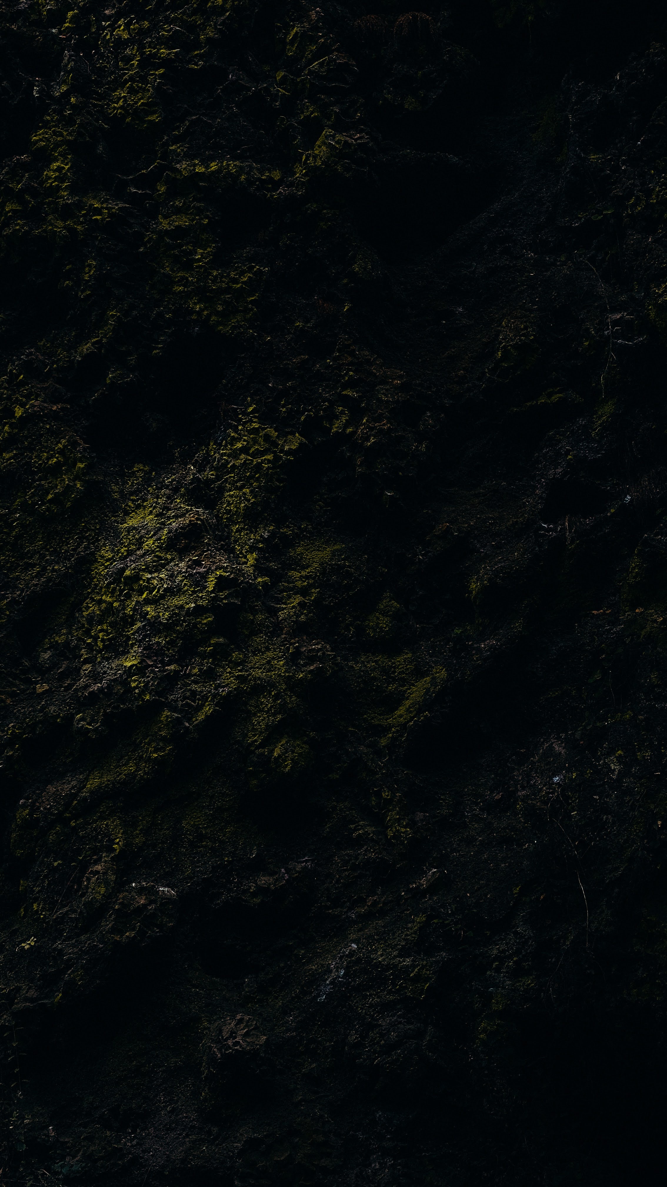 moss, rock, texture, dark, stone 4K Ultra