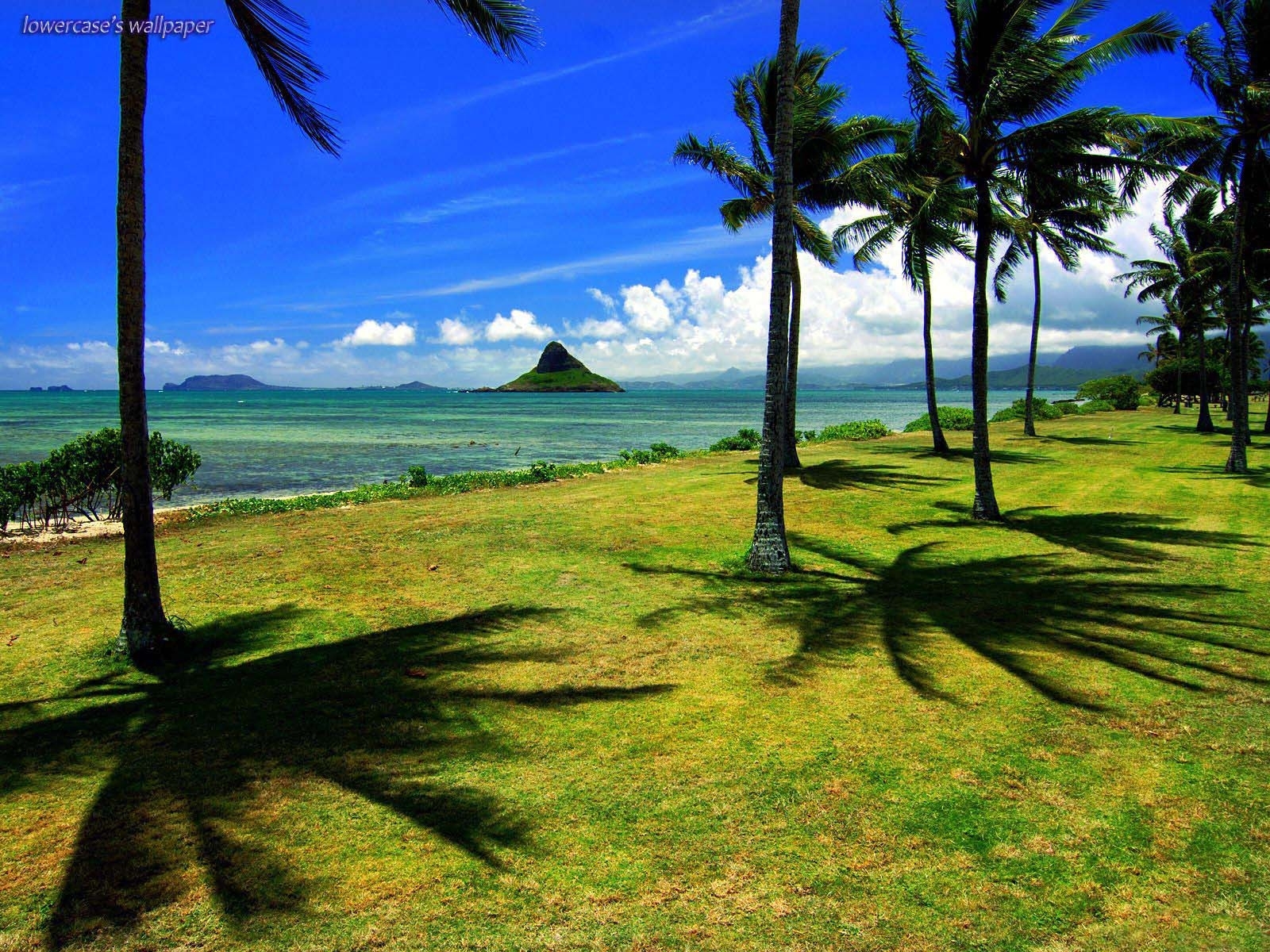 Download mobile wallpaper Trees, Landscape, Palms for free.