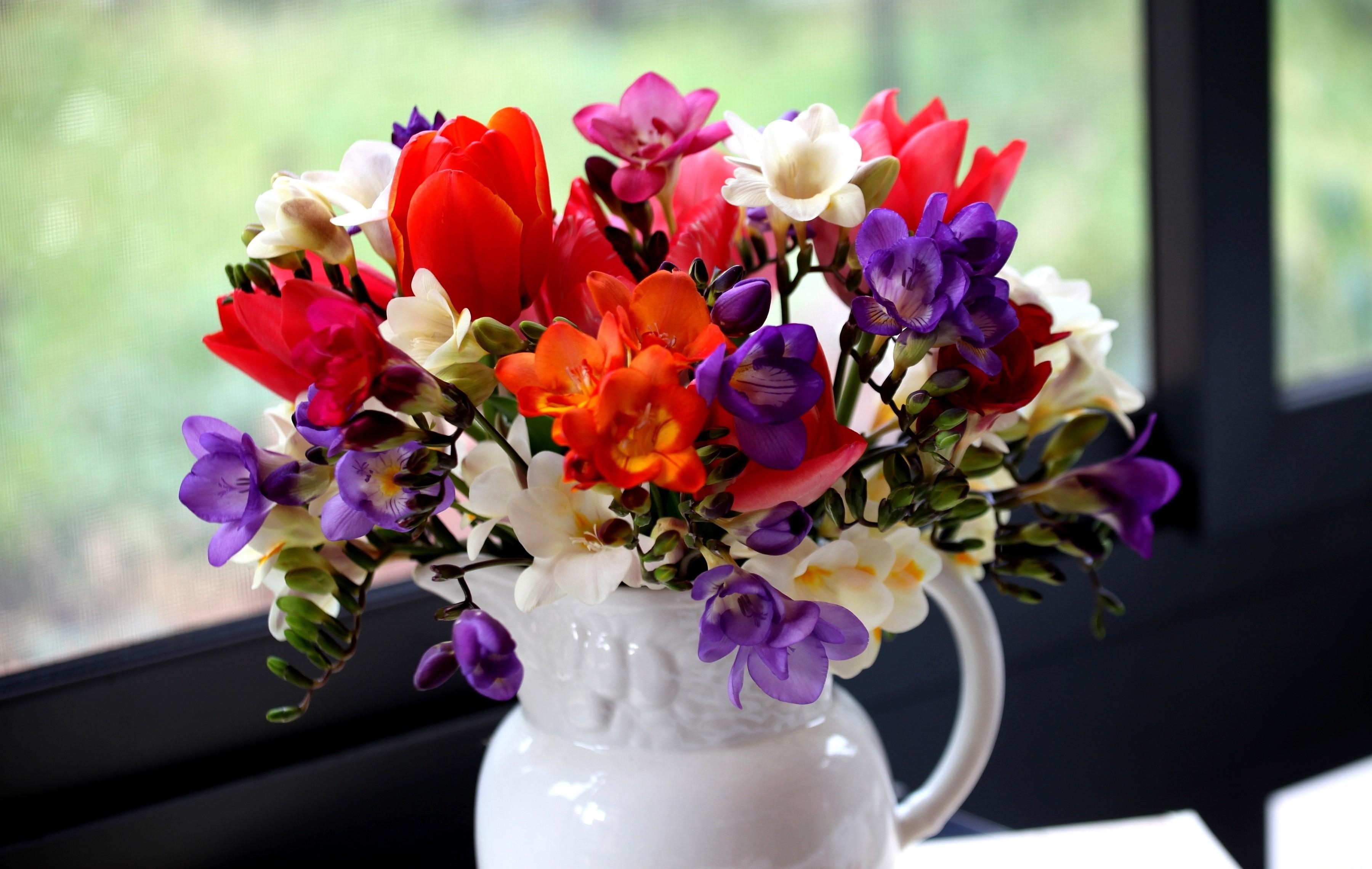 tulips, flowers, bouquet, jug, window, freesia images