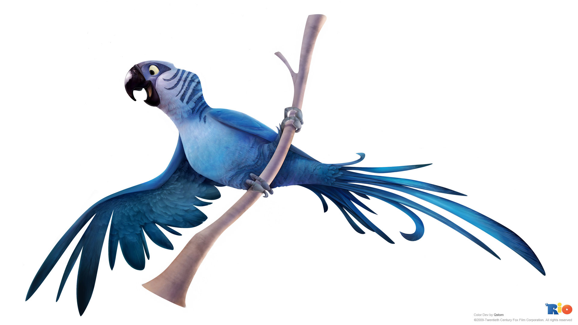 Голубой попугай Рио