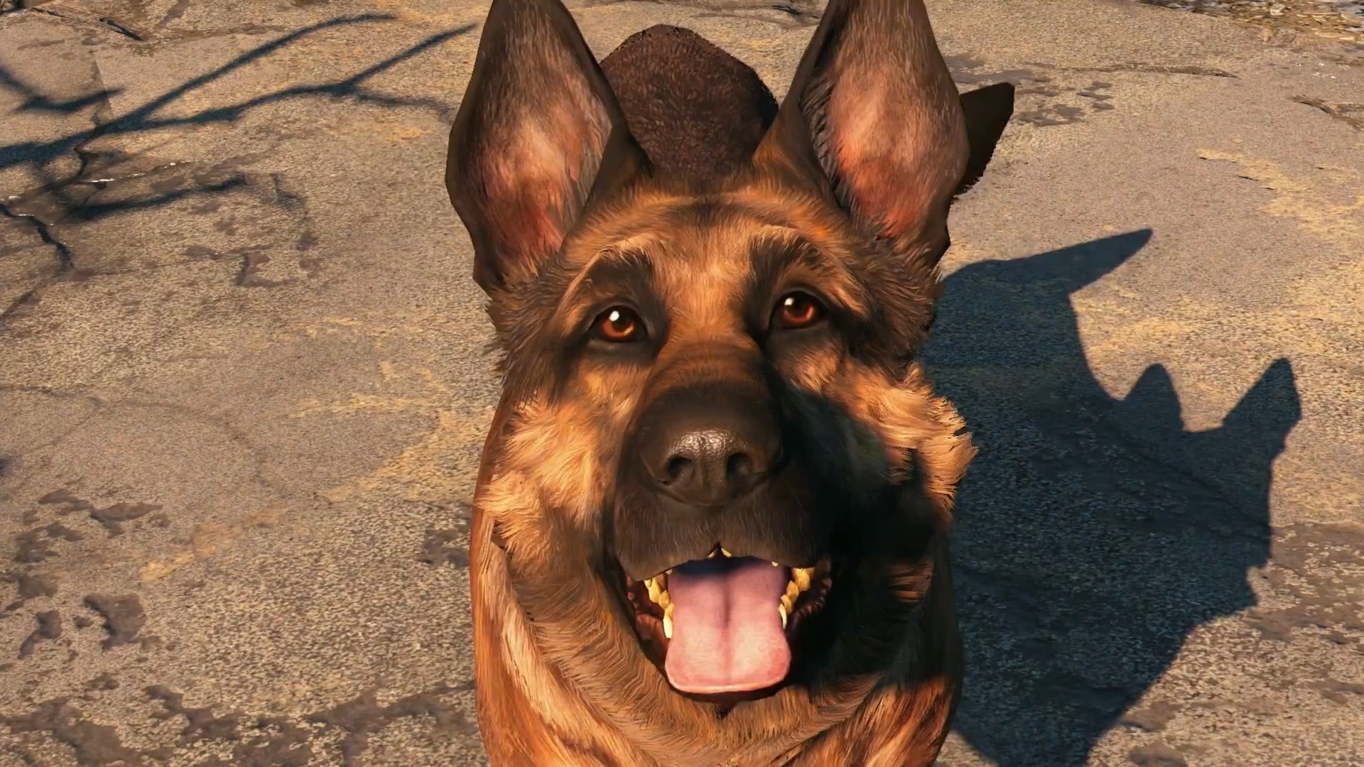 Fallout 4 good boy dogmeat фото 57