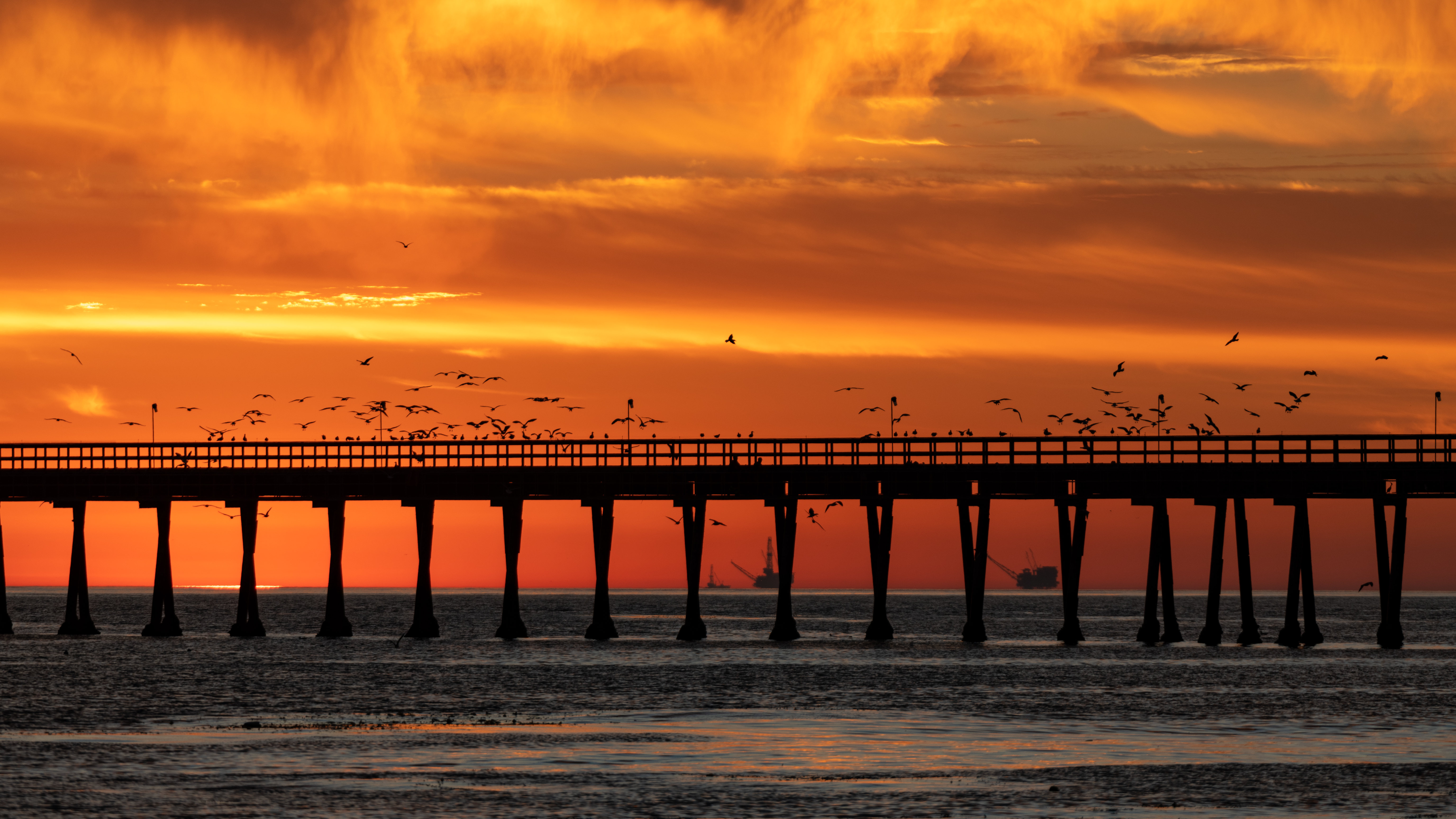 Free download wallpaper Dusk, Bridge, Nature, Birds, Sunset, Sea, Twilight on your PC desktop