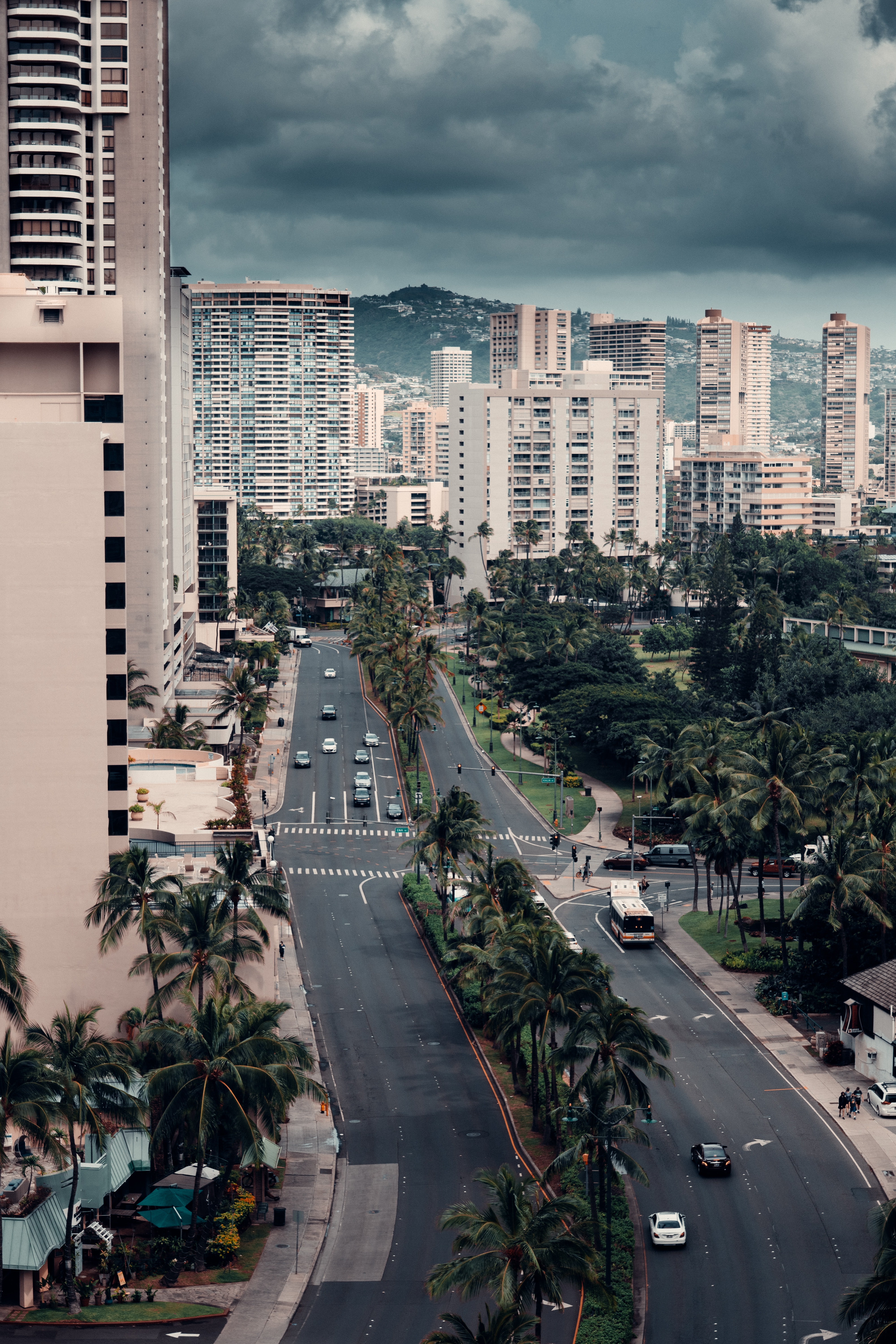 cities, palms, city, building, view from above, road Panoramic Wallpaper
