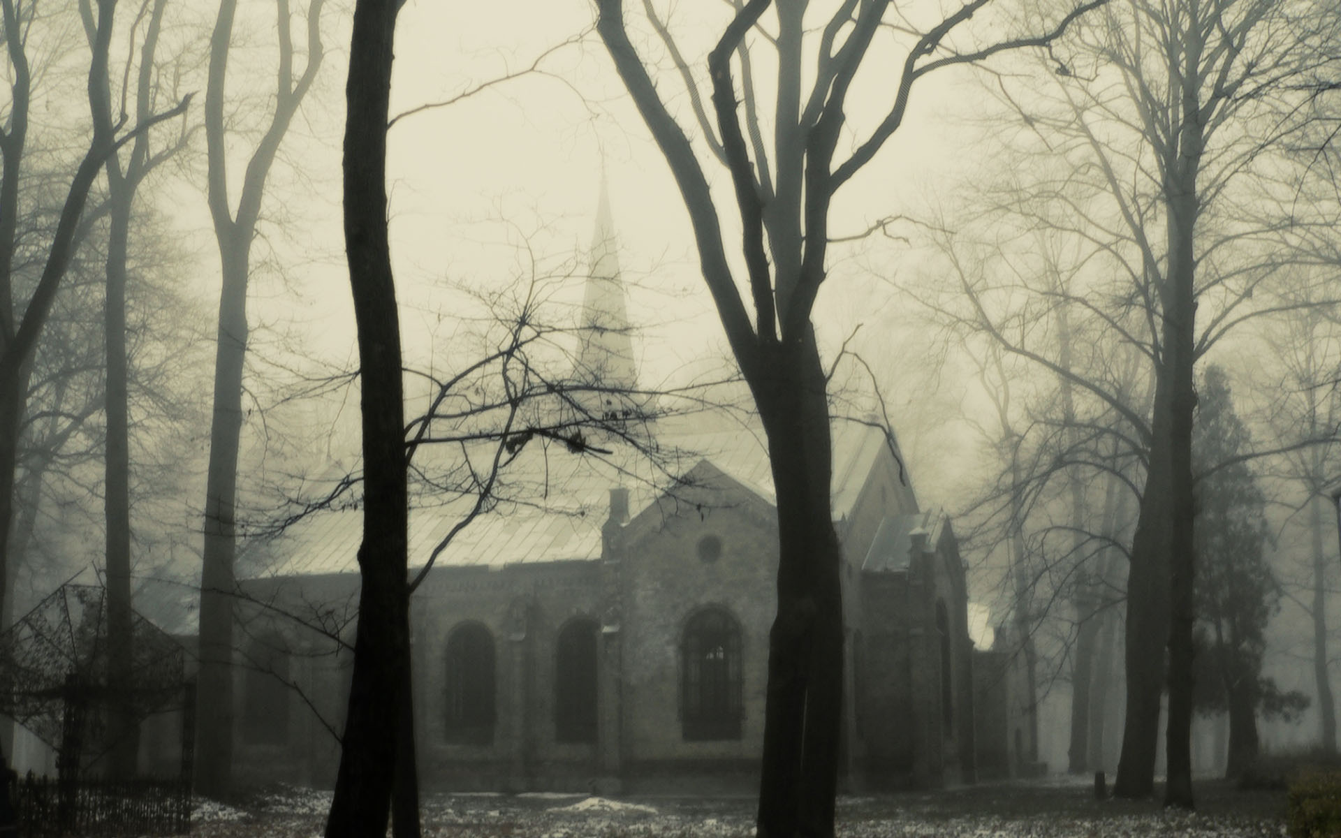 religious, church, cathedral, fog, churches