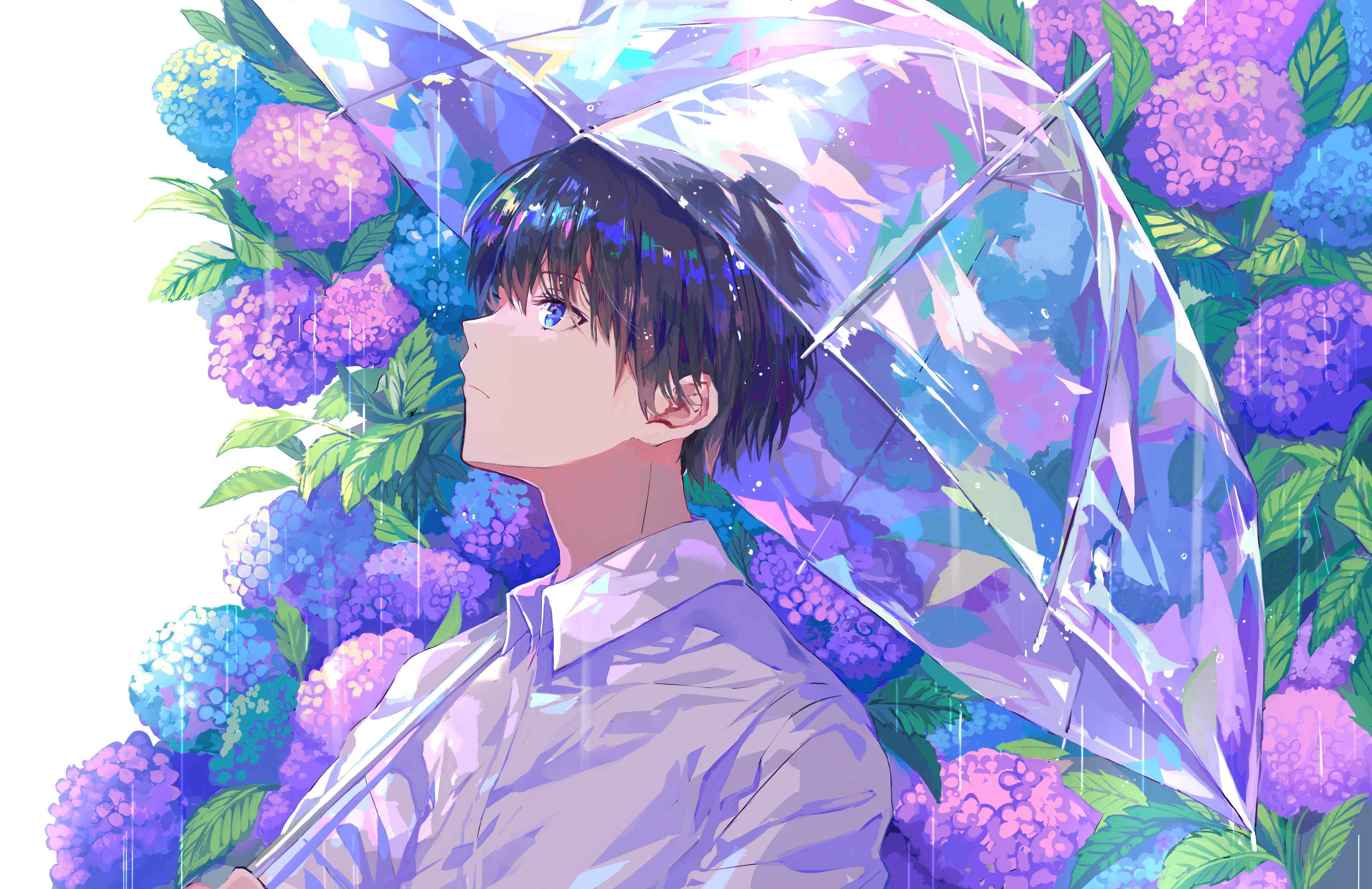 Download mobile wallpaper Anime, Rain, Flower, Umbrella, Boy for free.