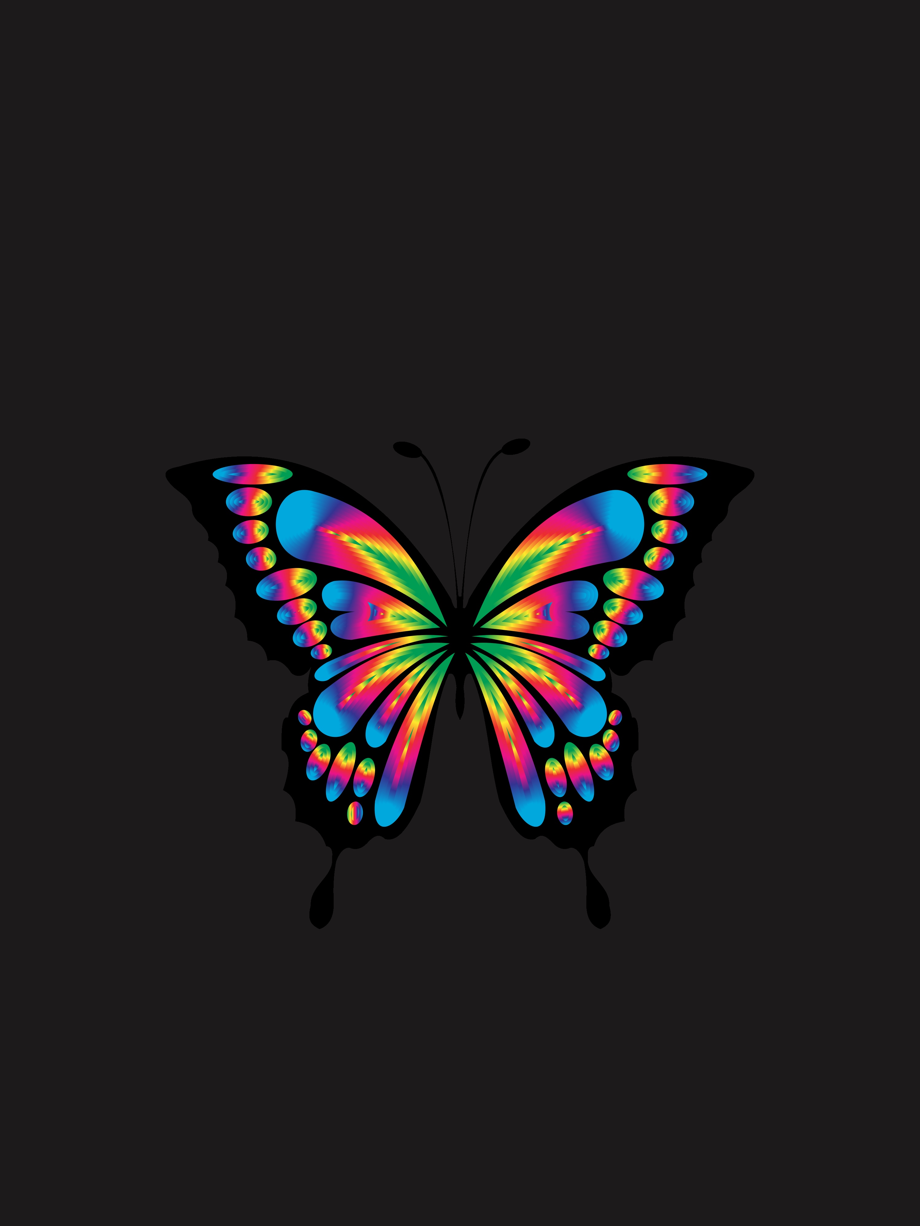 butterfly, shine, chromatic, minimalism, multicolored, bright, motley, brilliance, prismatic