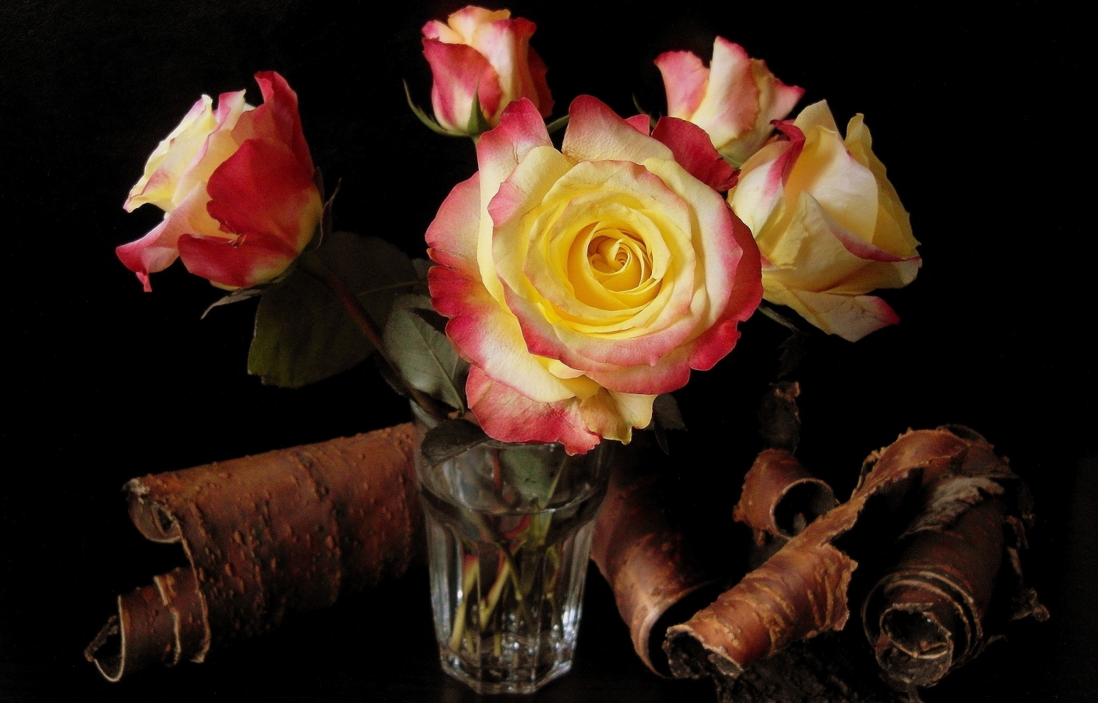 Handy-Wallpaper Blumen, Pflanzen, Roses kostenlos herunterladen.