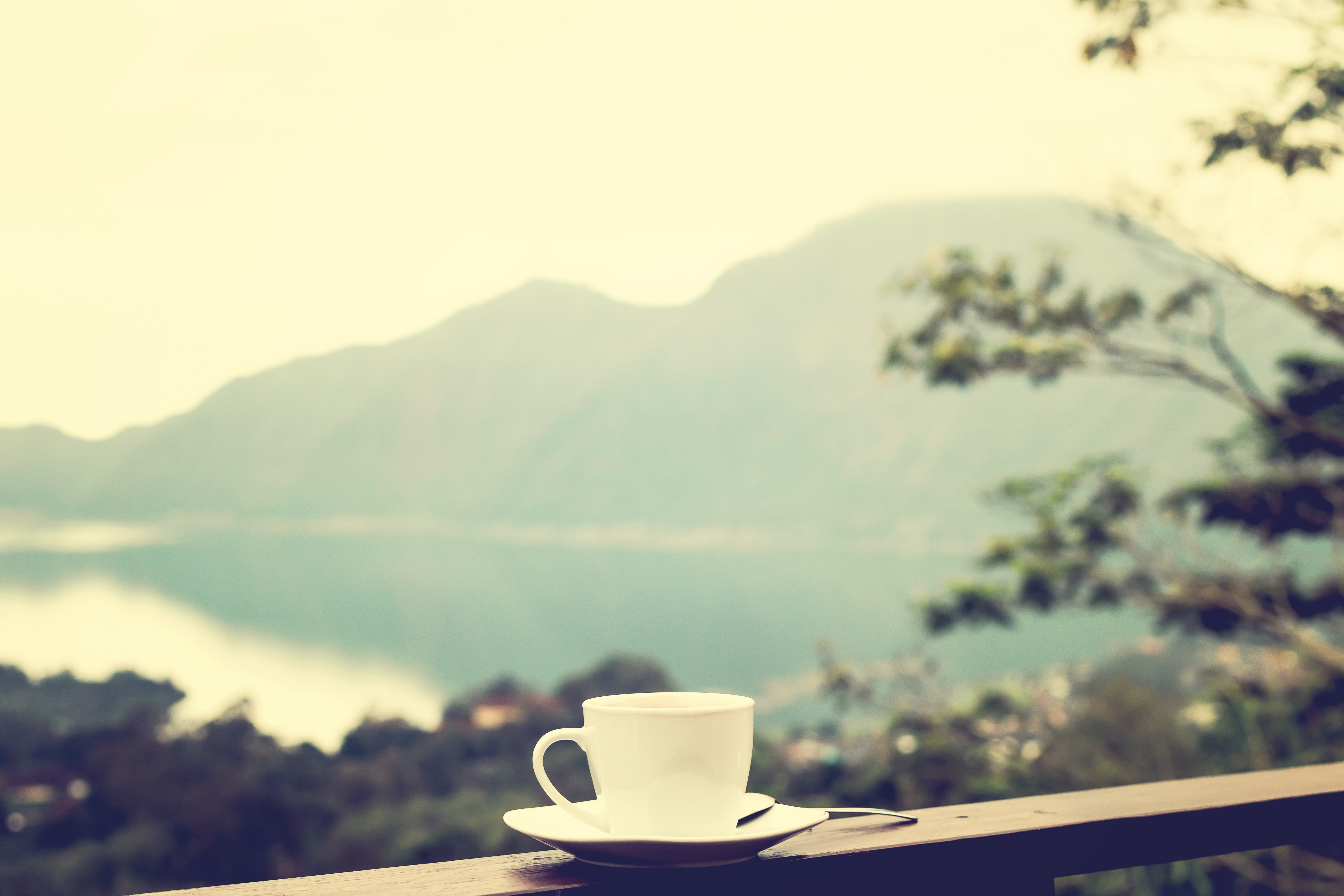 freedom, mountains, privacy, seclusion, miscellanea, miscellaneous, cup, mood Smartphone Background