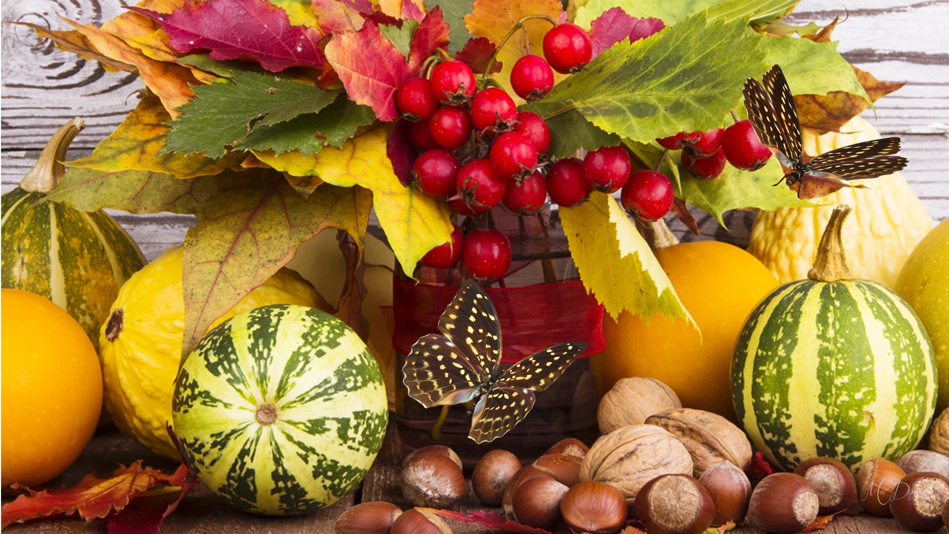 artistic, fall, berry, butterfly, gourd, leaf, nut