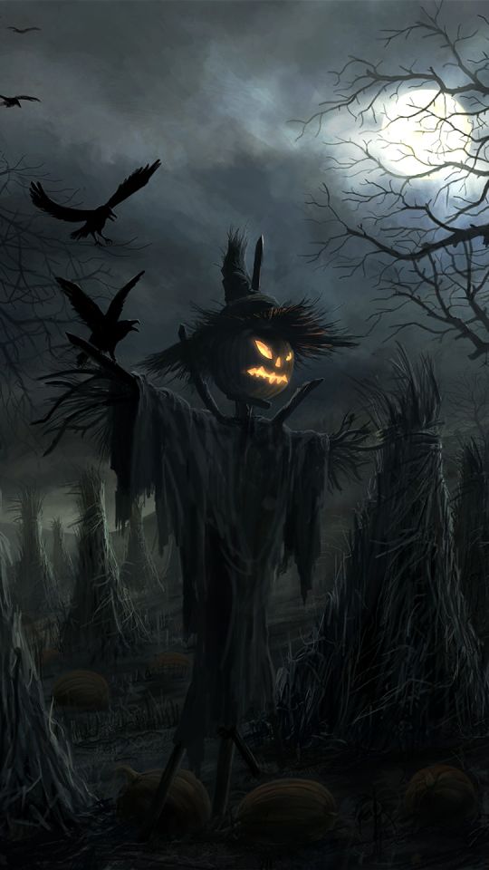 holiday, halloween, raven, scarecrow, jack o' lantern, dark, night HD wallpaper