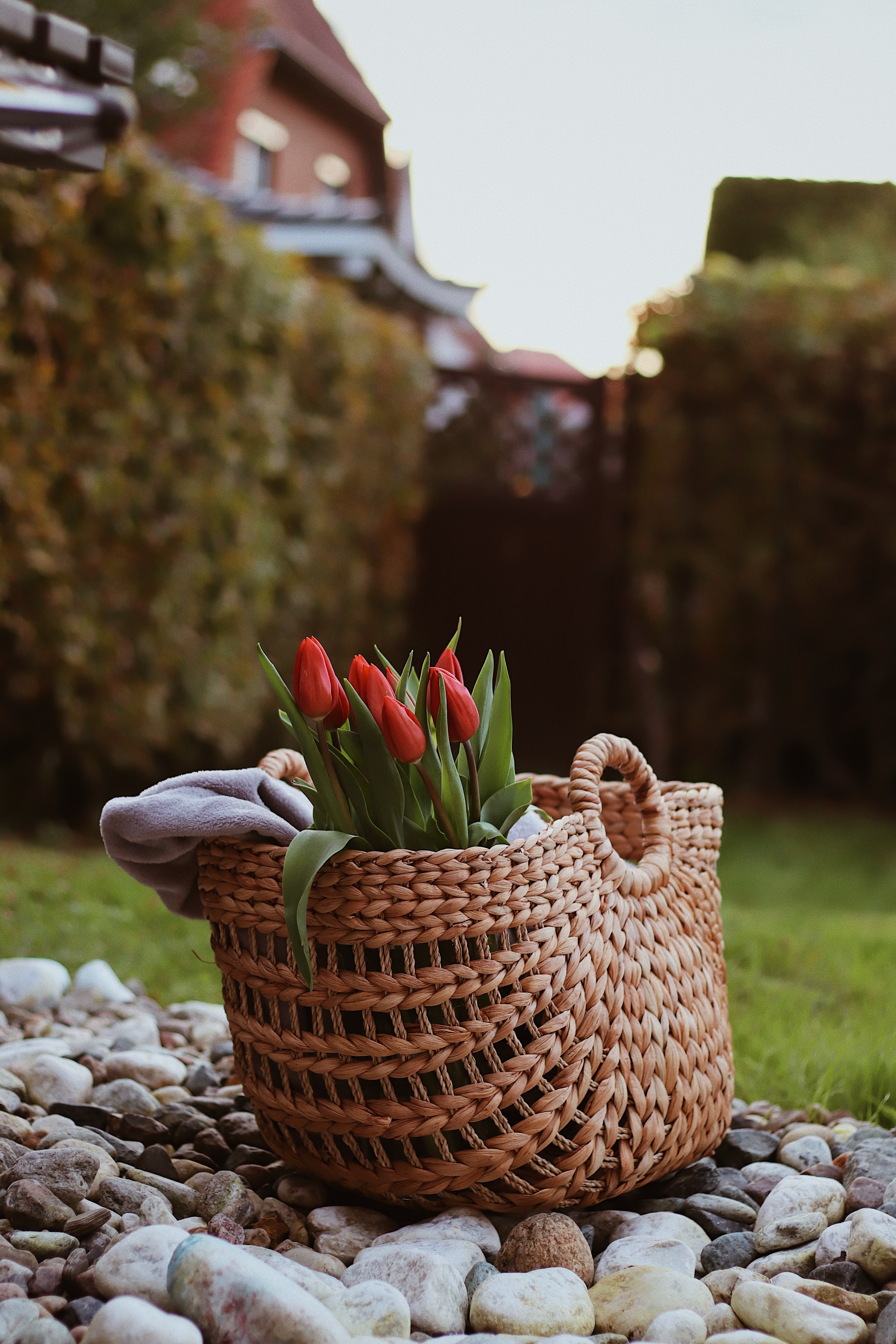 Download mobile wallpaper Basket, Bouquet, Stones, Tulip, Flowers for free.