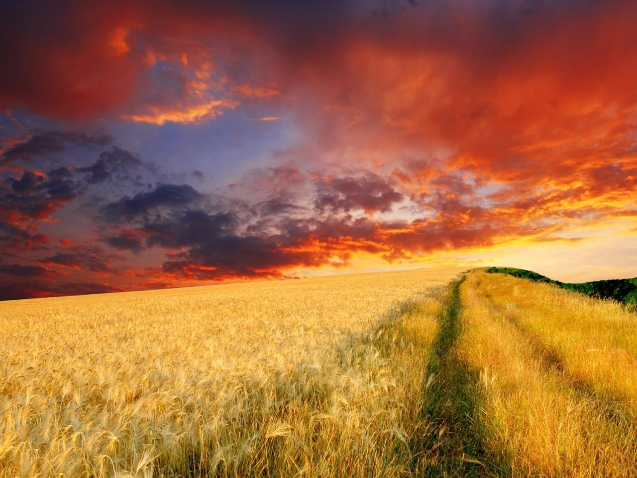 Download mobile wallpaper Sunset, Landscape, Fields for free.