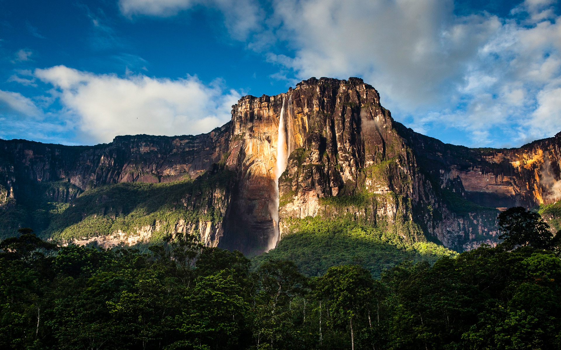 386966 скачать картинку водопад анхель, земля/природа, лес, венесуэла, водопад, водопады - обои и заставки бесплатно